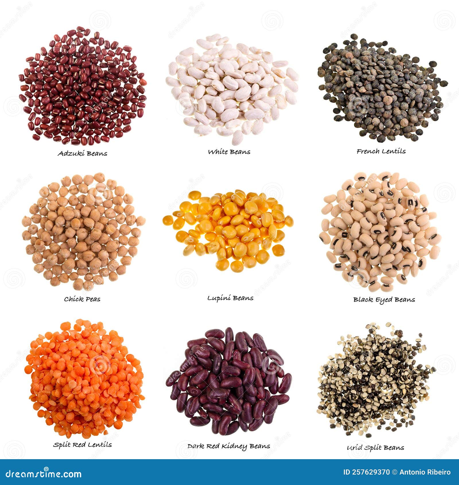 V rios Tipos De Pulsos Em Fundo Branco Com Nomes Foto De Stock Imagem 100-pulses-names-in-english-and-hindi-with-images