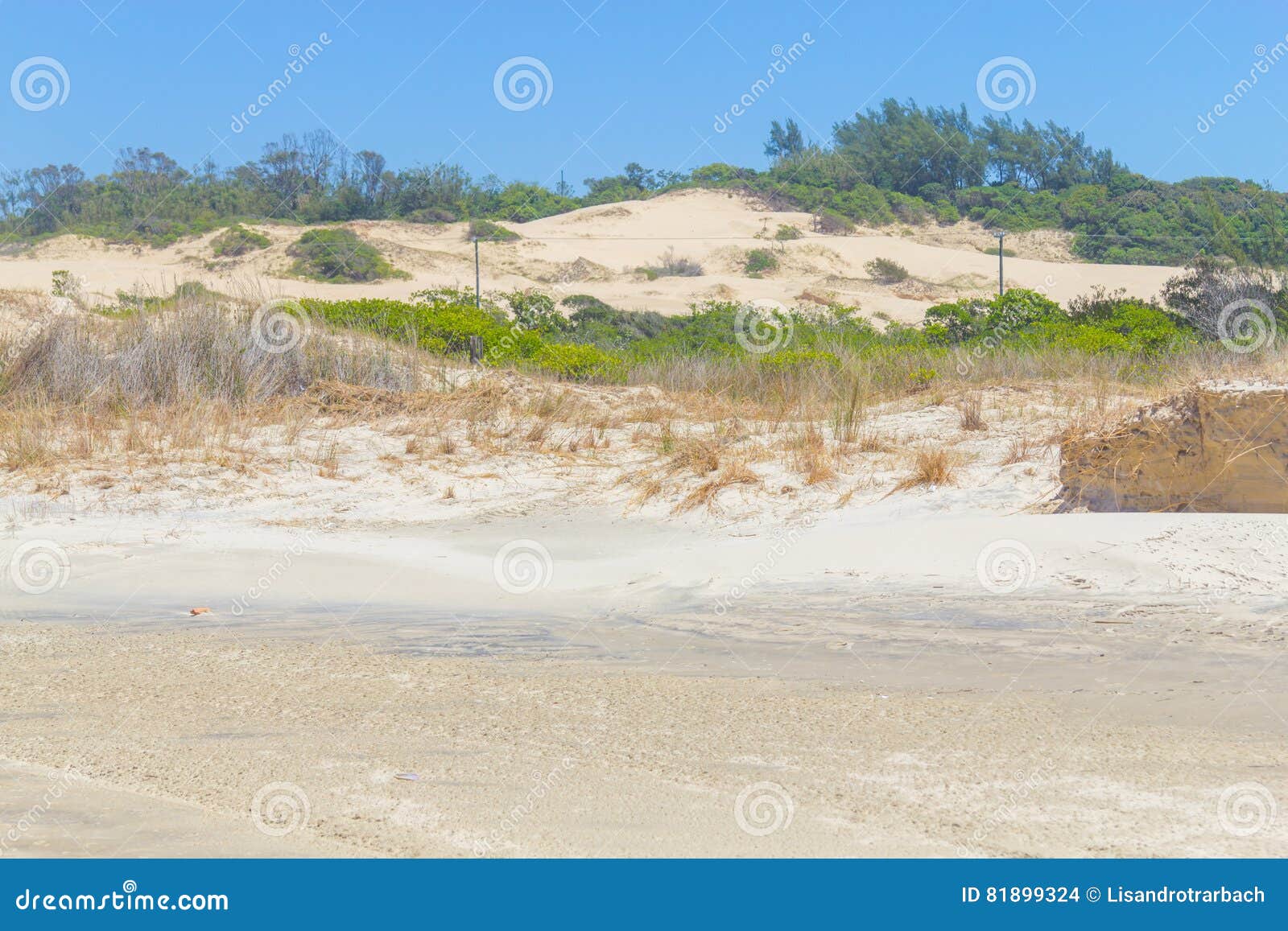 Végétation au-dessus des dunes au parc d'Itapeva en plage de Torres. Végétation au-dessus des dunes dans un jour ensoleillé chez Torres, Rio Grande do Sul