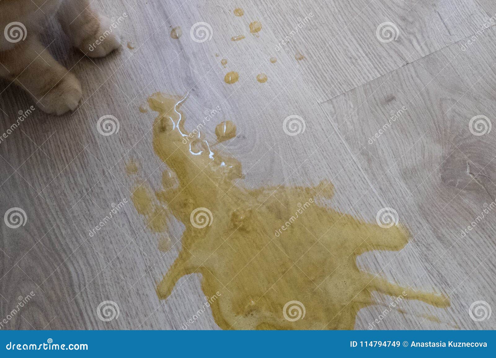 Vômito amarelo imagem de stock. Imagem de nationhood 114794749