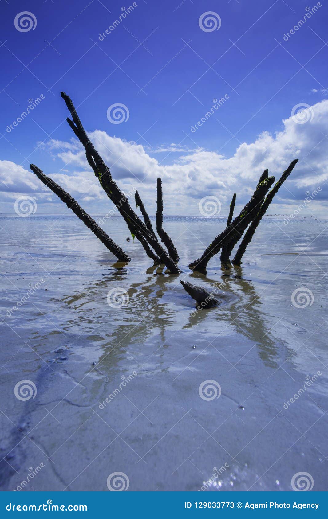waddengebied peazemerlannen, tidalflats peazemerlannen
