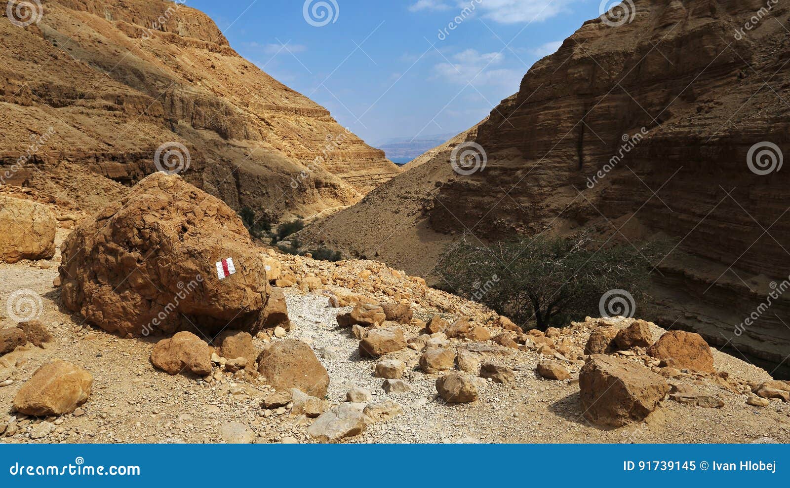 Wadi Arugot in Ein Gedi Nature Reserve , Israel Stock Image - Image of