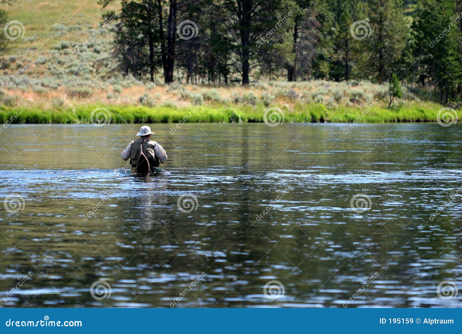 wading in yellowstone river