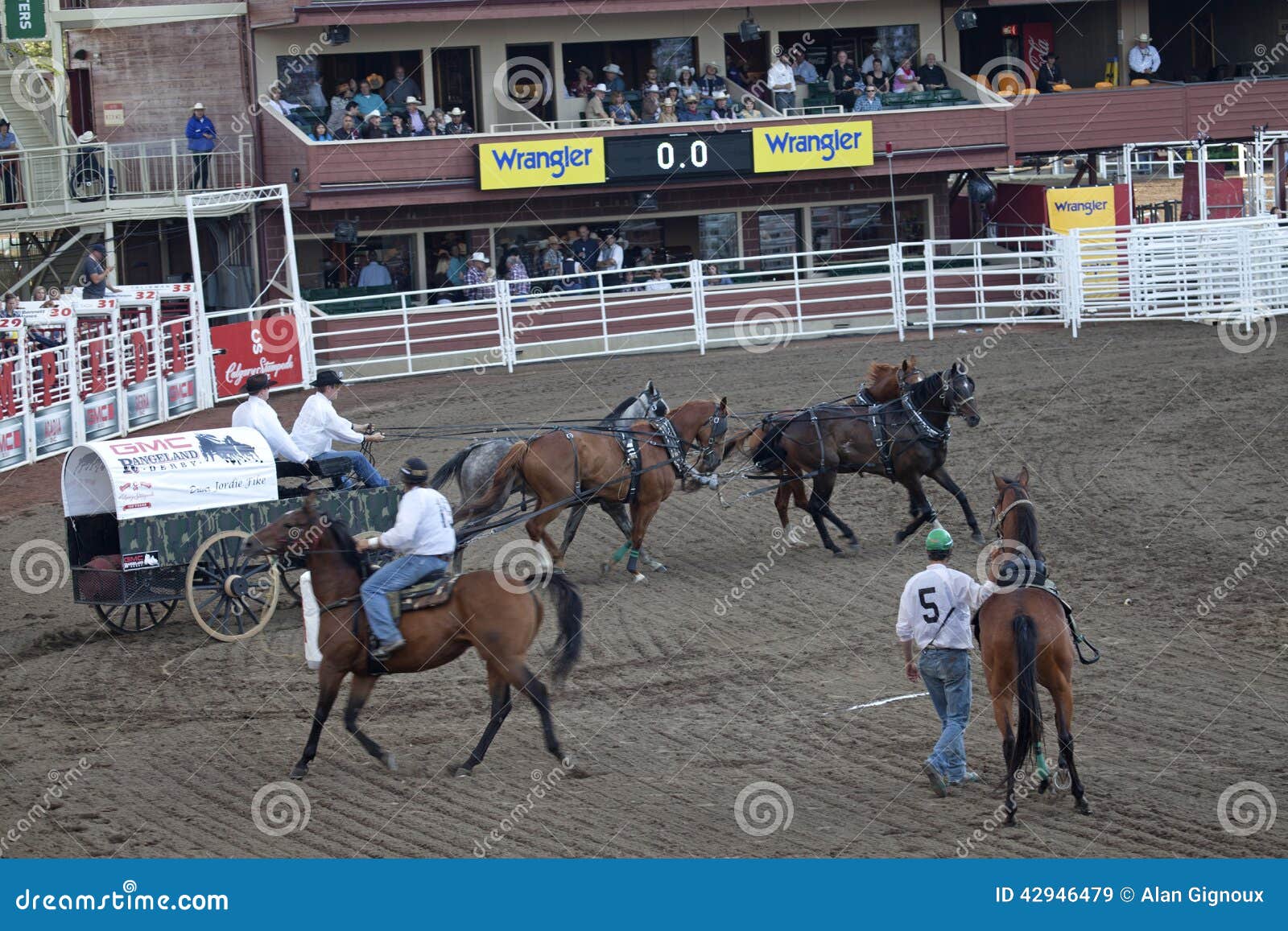 Wagon and Horses, Race Track, Calgary Editorial Stock Image Image of