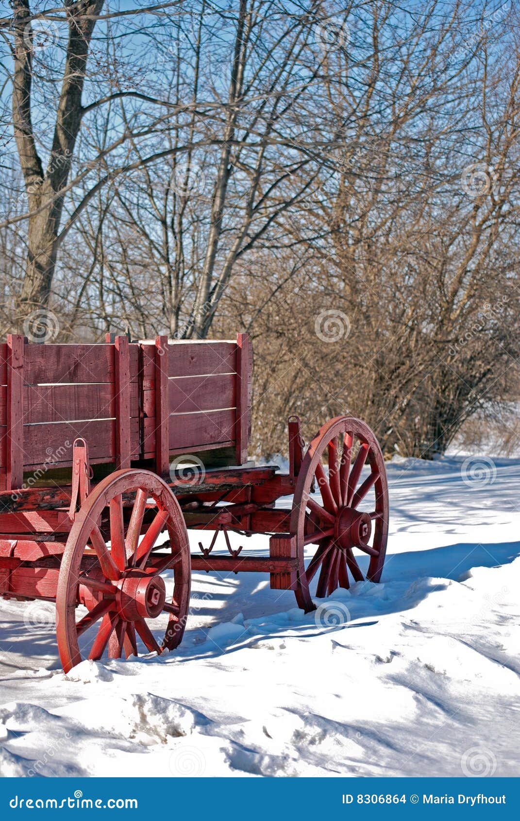 Wagon in Winter stock photo. Image of snow, bright, buckboard 8306864