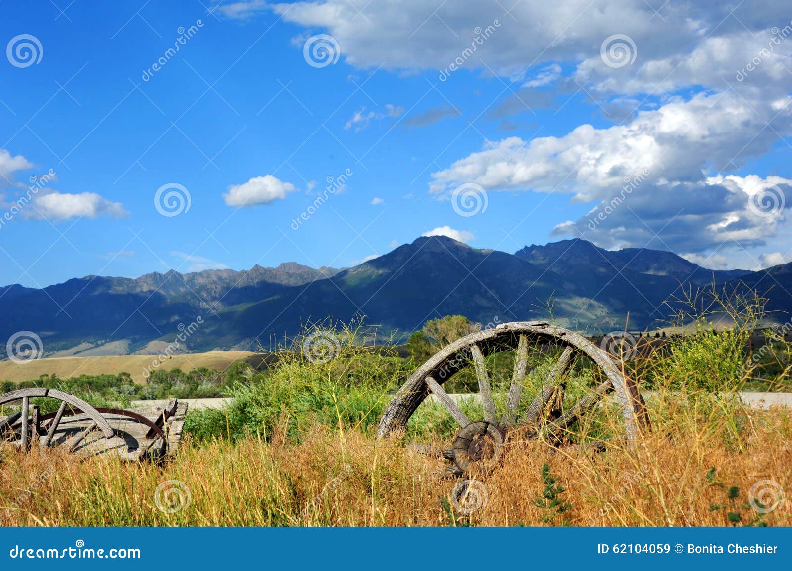 wagons face absaroka mountain range