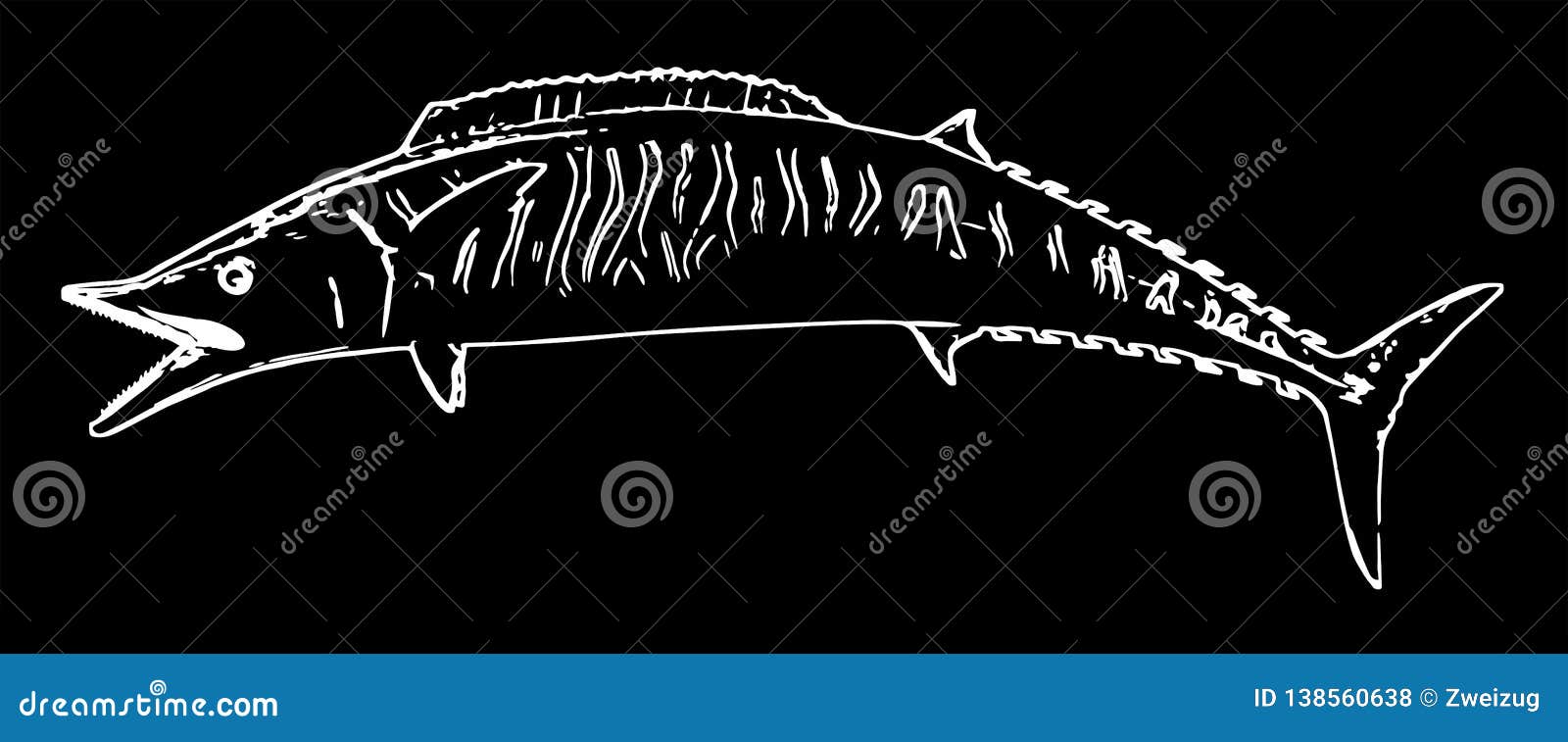 wahoo fish on black background