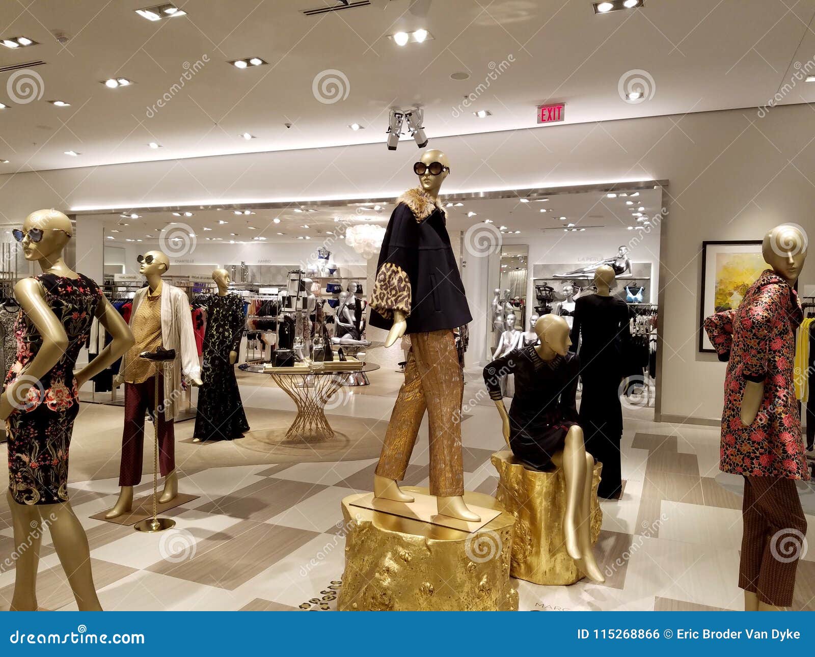 Manikin and Items on Display Inside Saks Fifth Avenue Editorial Photo -  Image of clothing, upscale: 115268866