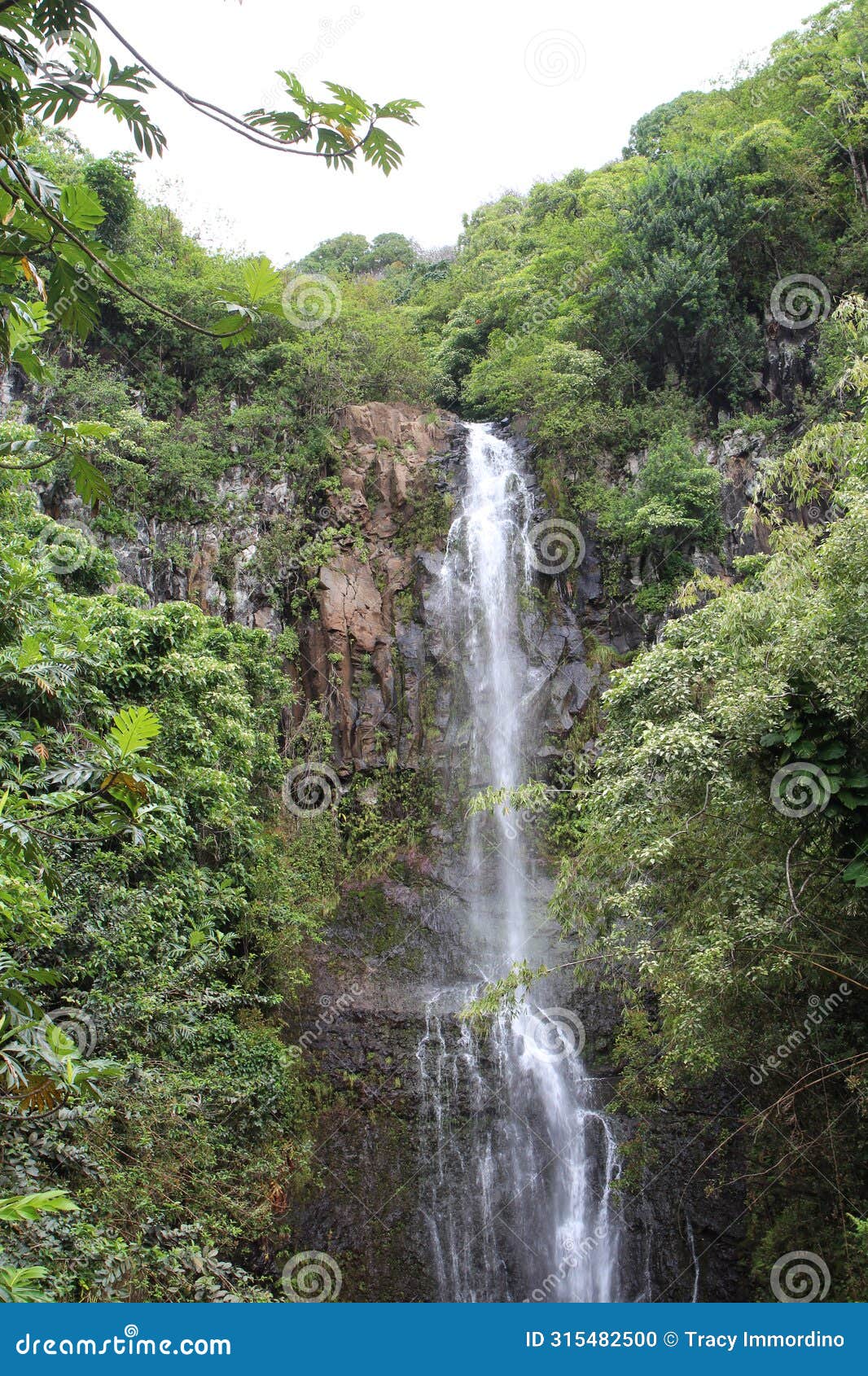 wailua falls tumbling over a volcanic rock cliffside in a rainforest in hana, maui, hawaii
