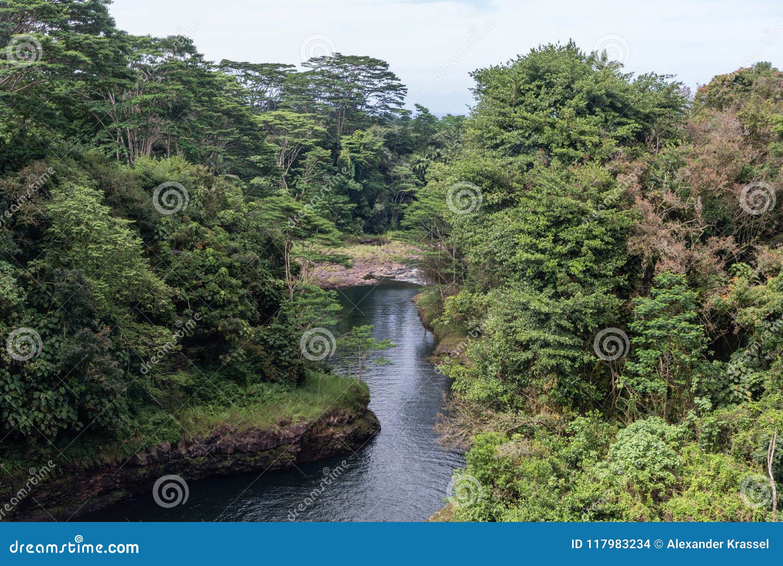 wailuku river at the rainbow falls in hilo on the big island of hawaii