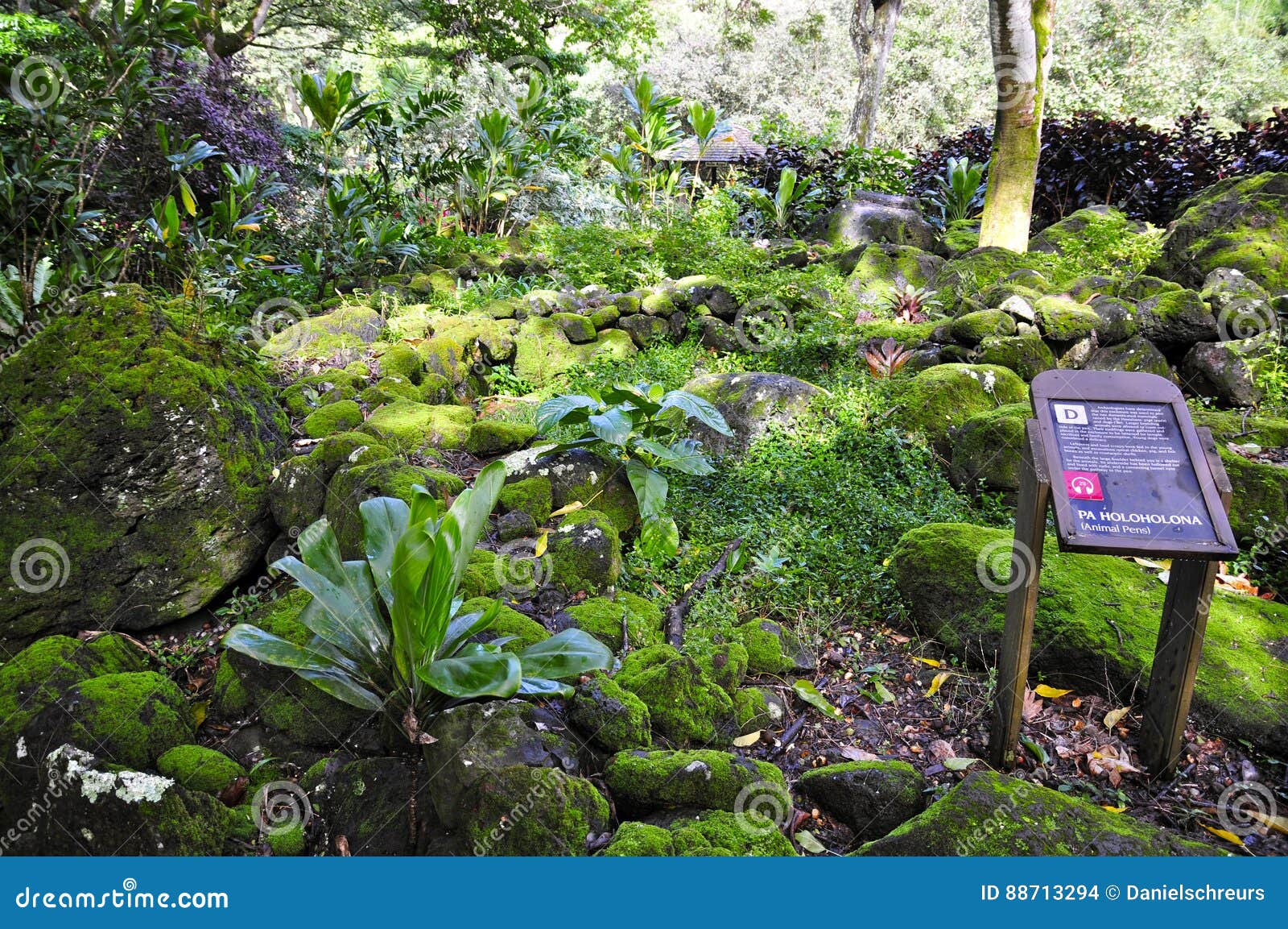 Waimea Arboretum And Botanical Garden Editorial Stock Image