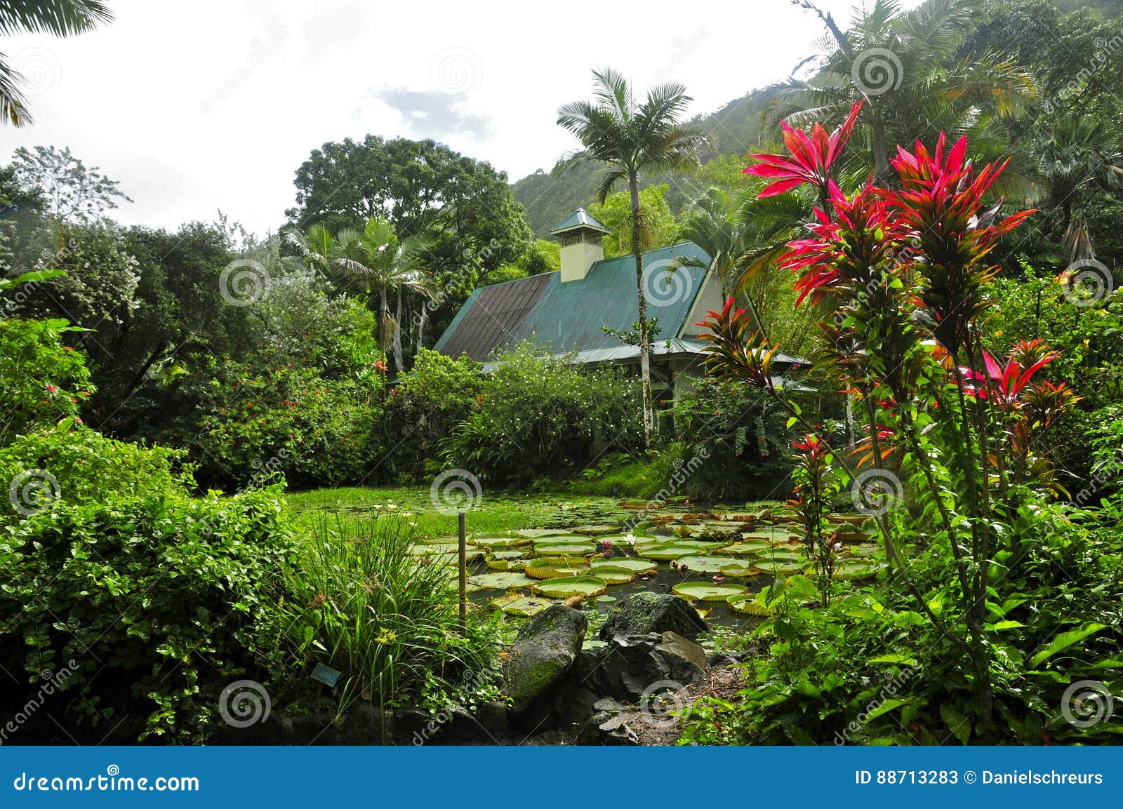 Waimea Arboretum Und Botanischer Garten Oahu Redaktionelles