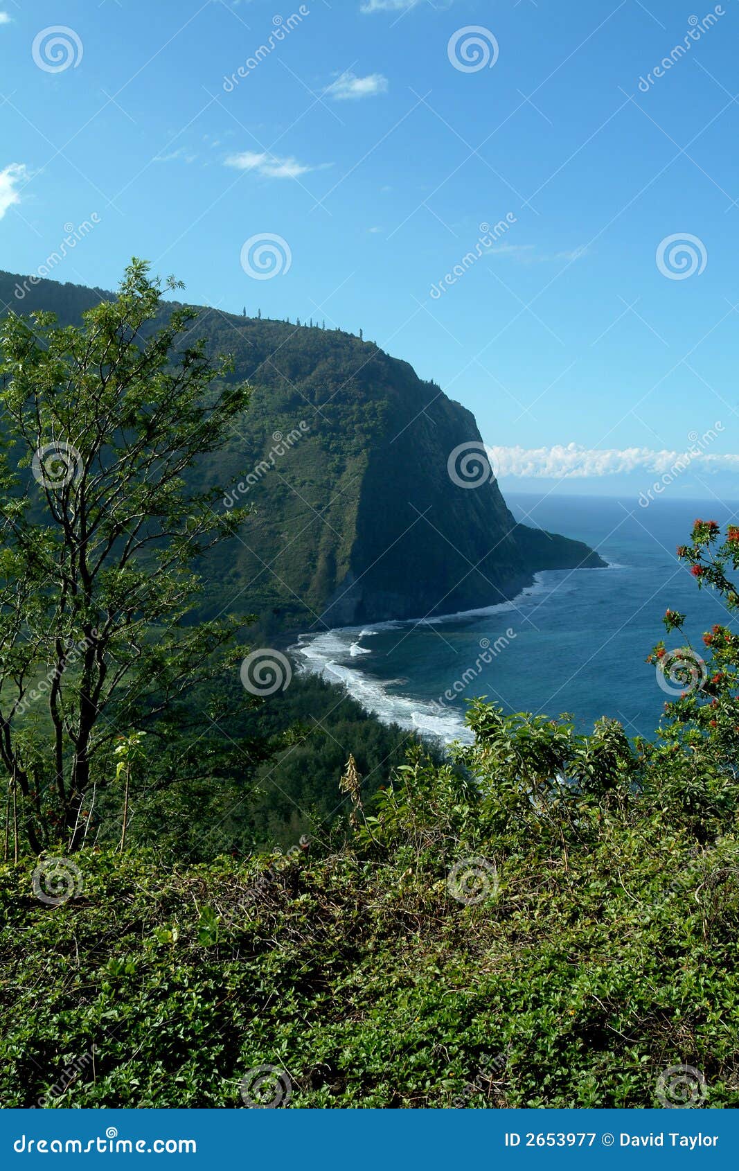 Waimea Big Island stock image. Image of island, ocean 2653977