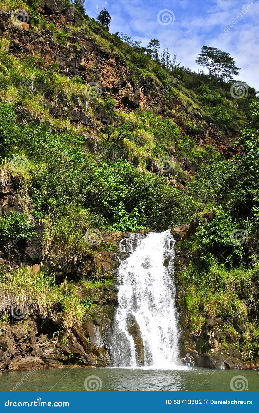 Waimea Falls Stock Photo Image Of Attractions Native 88713382