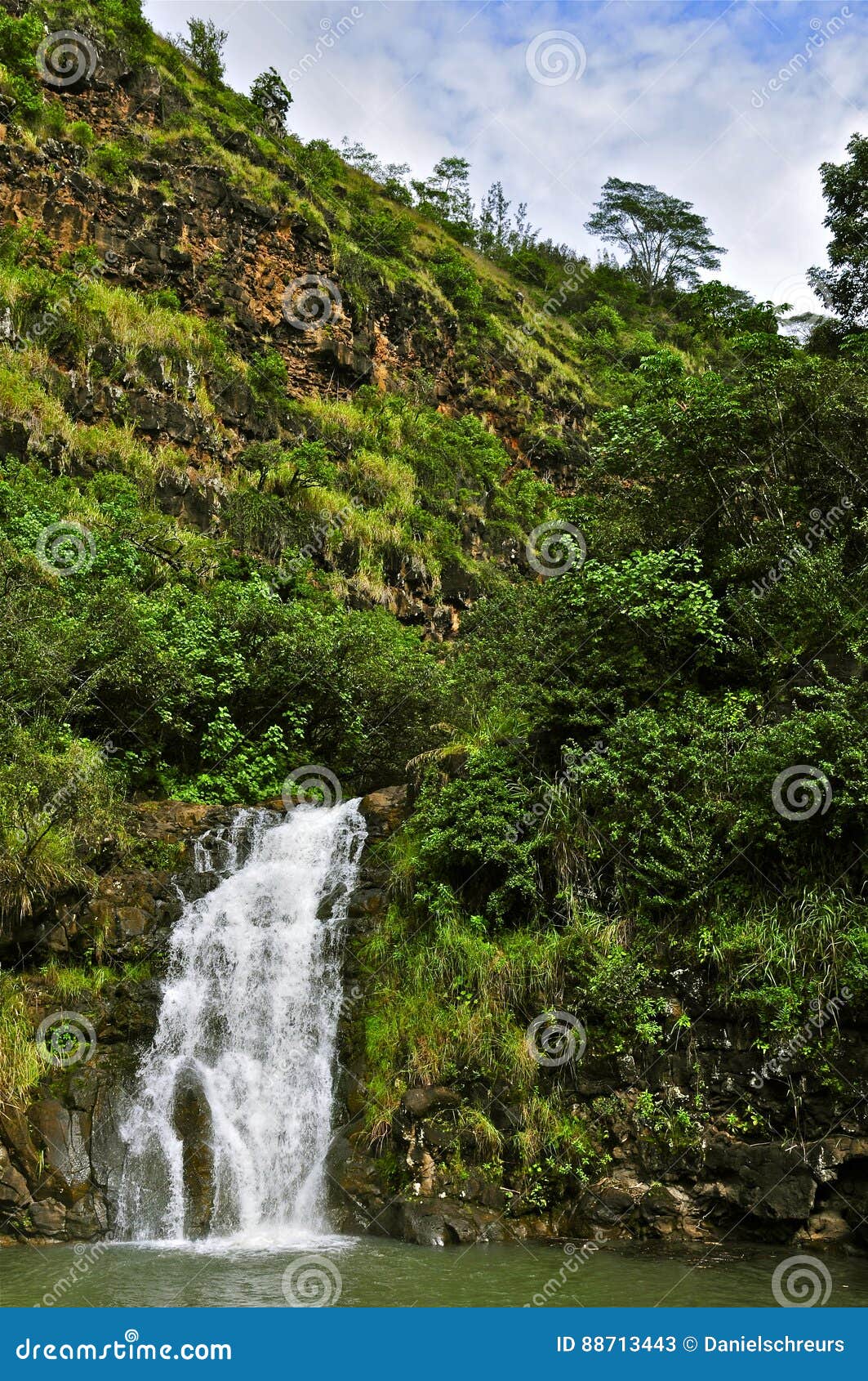 Waimea Falls Stock Image Image Of Hiking Mode Attractions