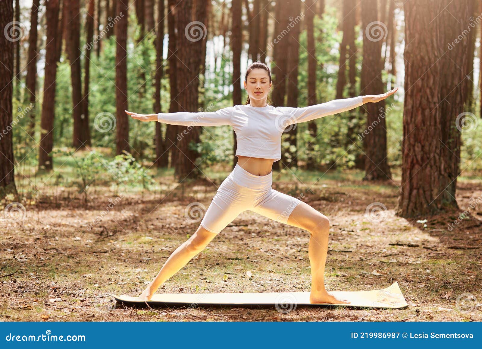 Jeune Femme Adulte En Tenue De Sport Faisant Du Yoga Dans Le Parc