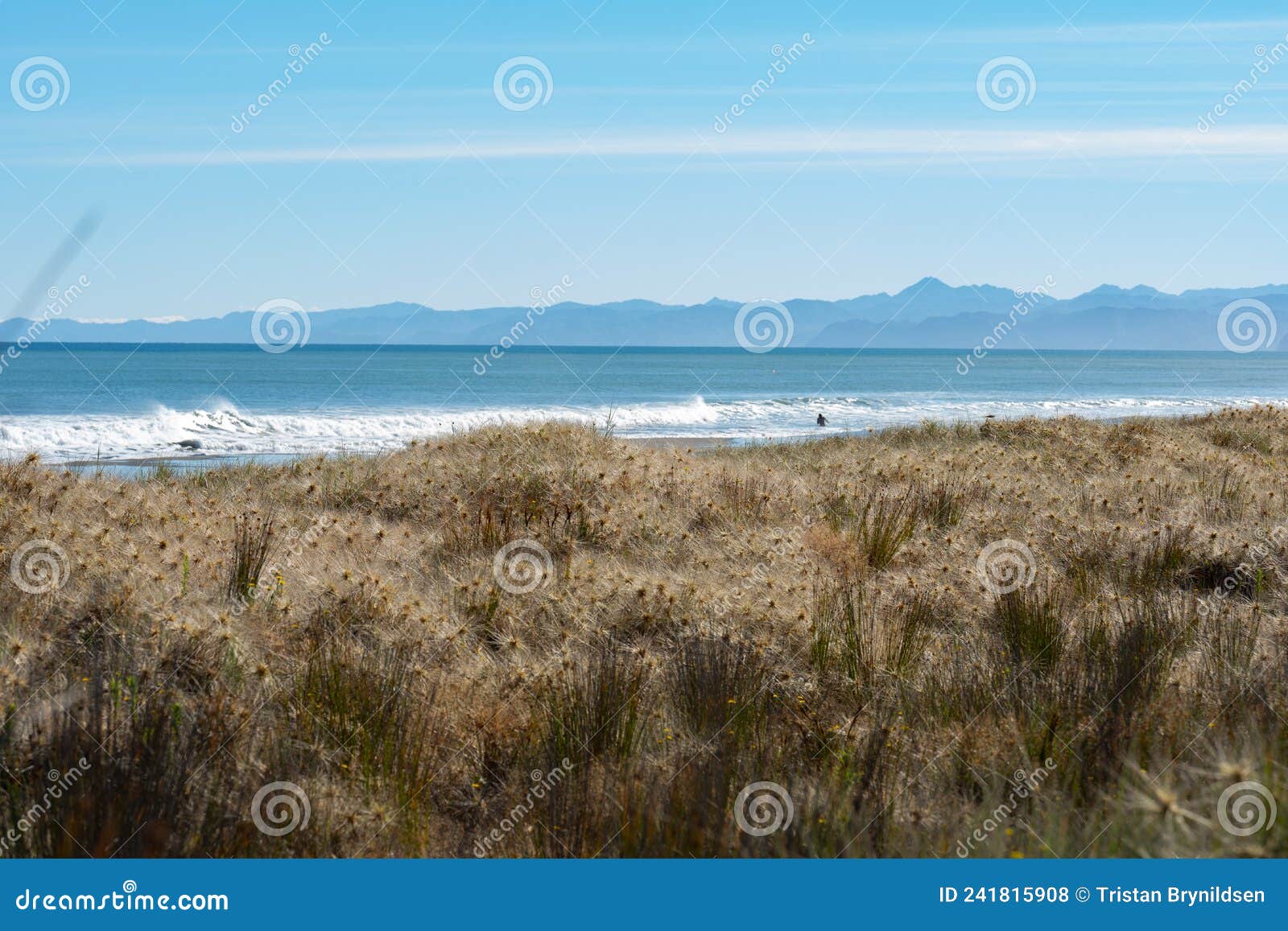 waiotahe beach, a popular beach holiday destination near opotiki, bay of plenty