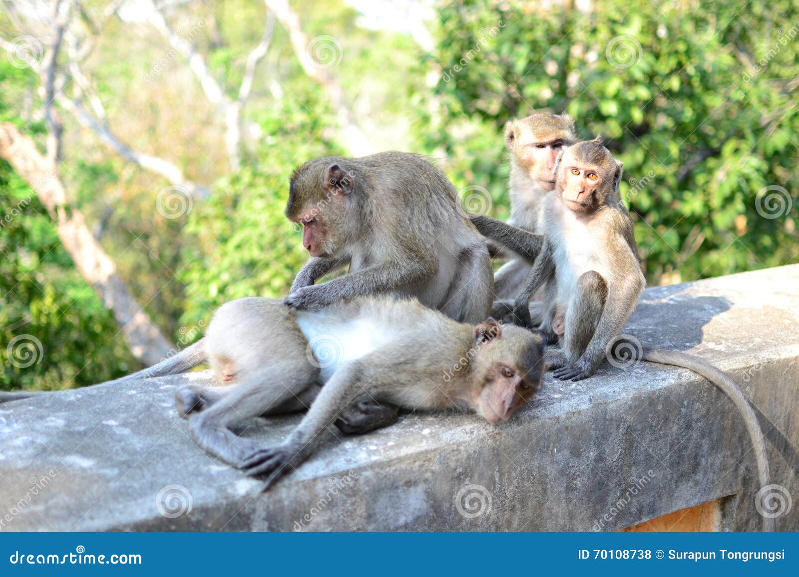 Wait Wait Wait... Wait a Minute Stock Photo - Image of beautiful