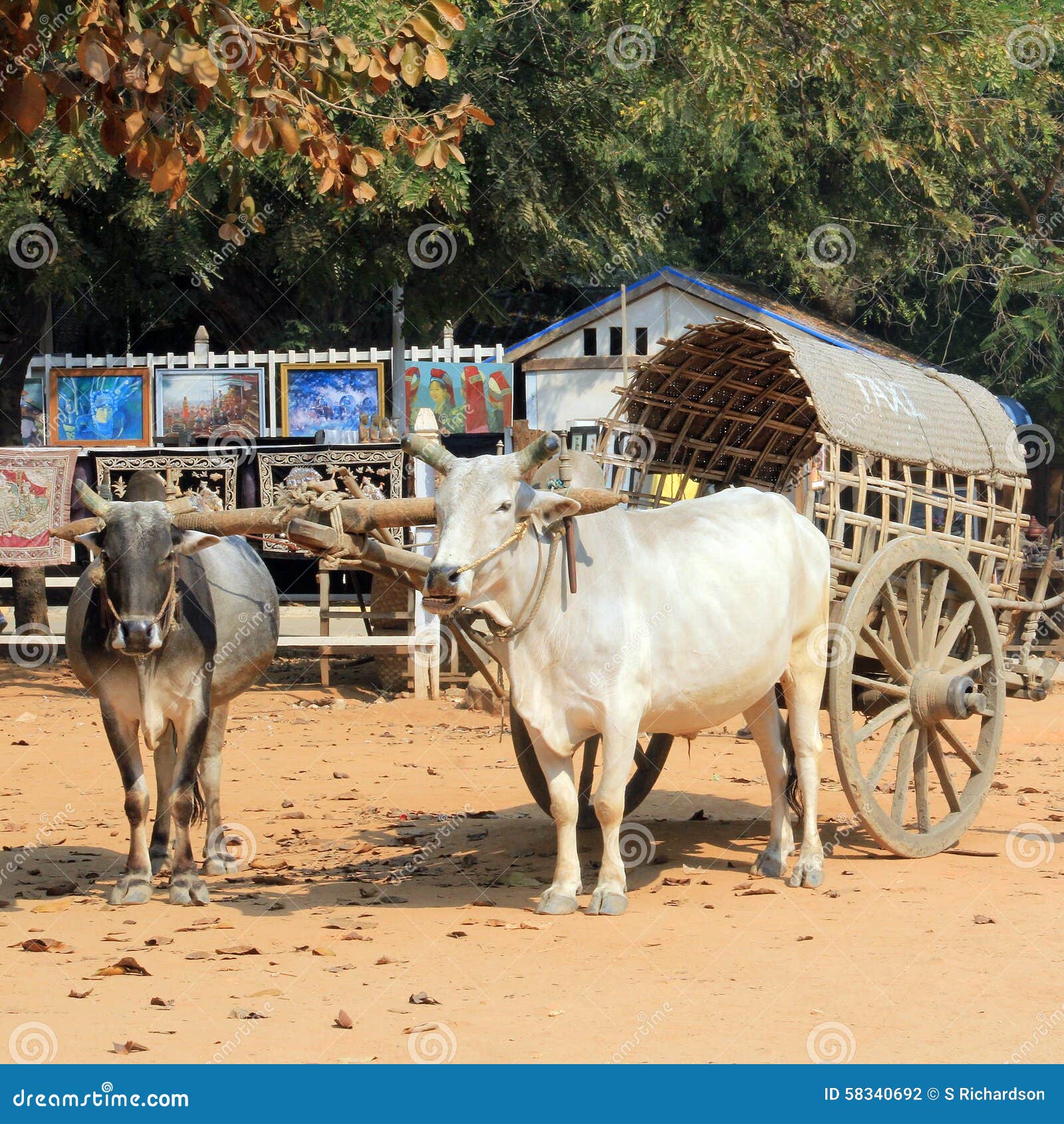 Waiting for a ride stock photo. Image of myanmar, taxi 58340692