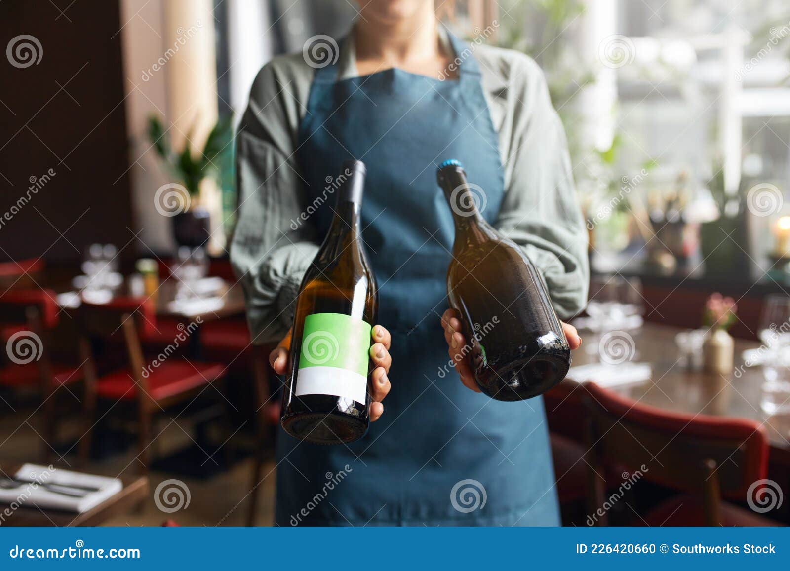Waitress Holding Wine Bottles Stock Photo Image of business, indoors