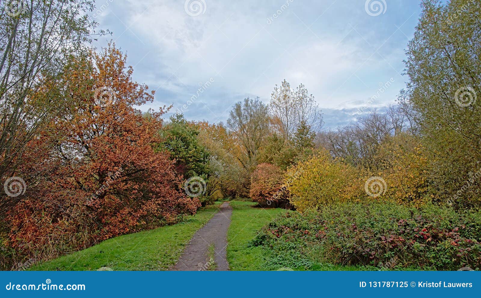 Waking Path Along Autumn Trees In Bourgoyen Nature Reserve Stock Image