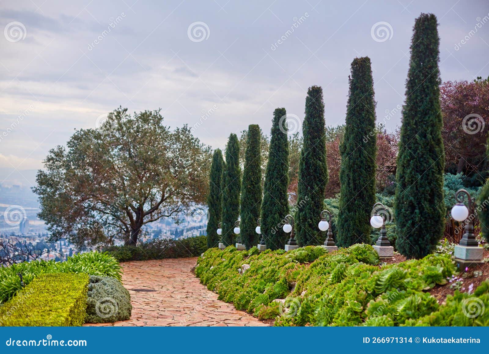 Walk through the Botanical Garden. View of Green Plants Stock Photo Image of design, idyllic