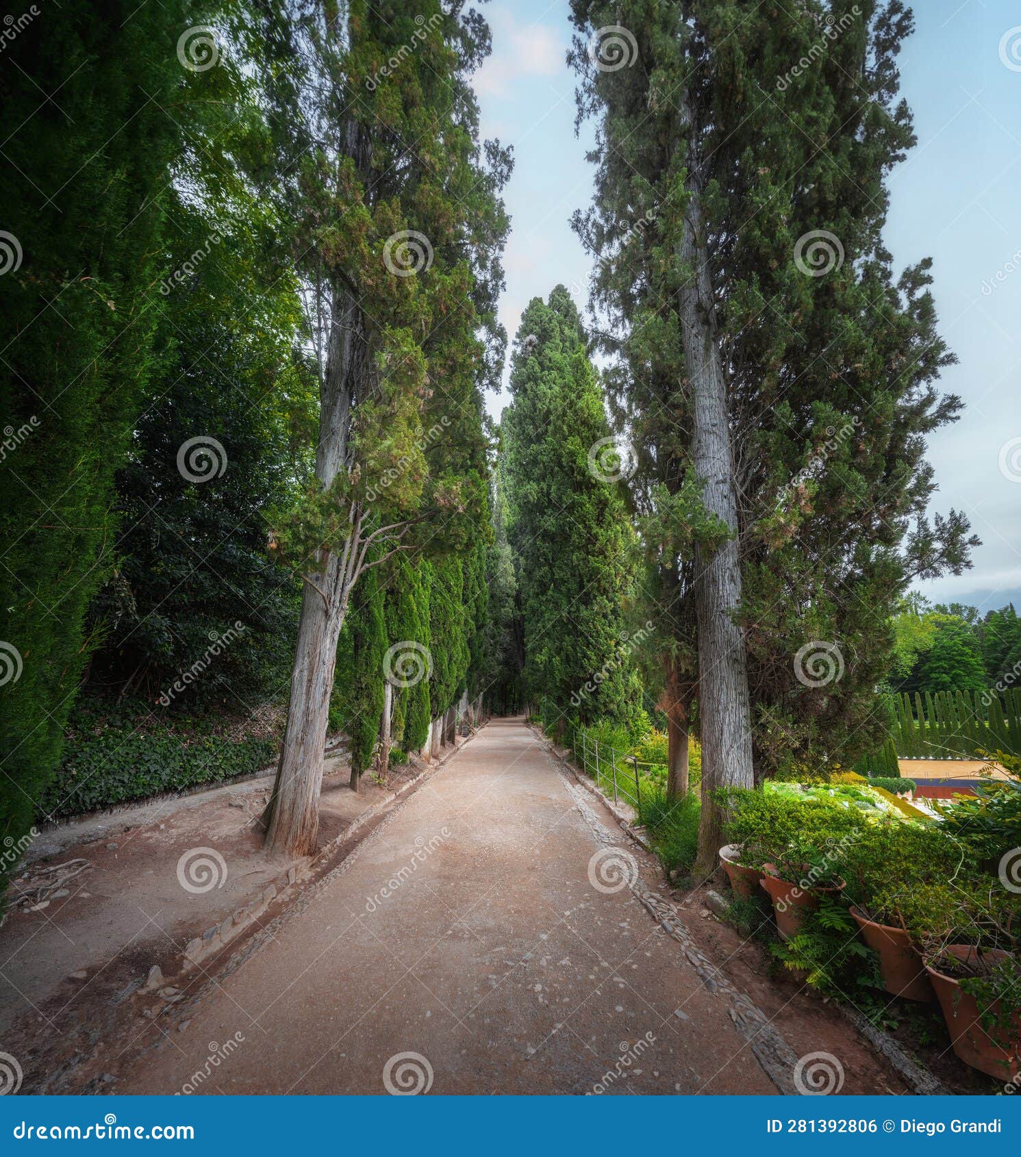 walk of the cypress trees at generalife gardens of alhambra - granada, andalusia, spain