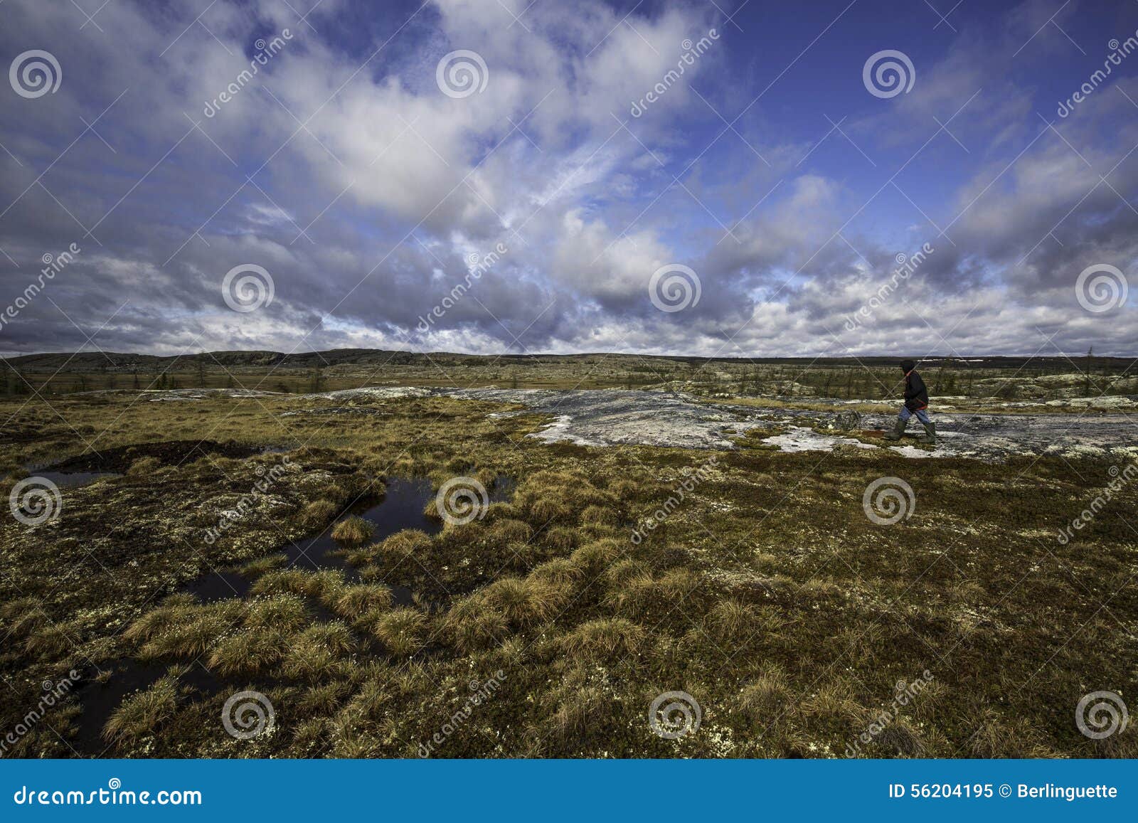 walk in the tundra