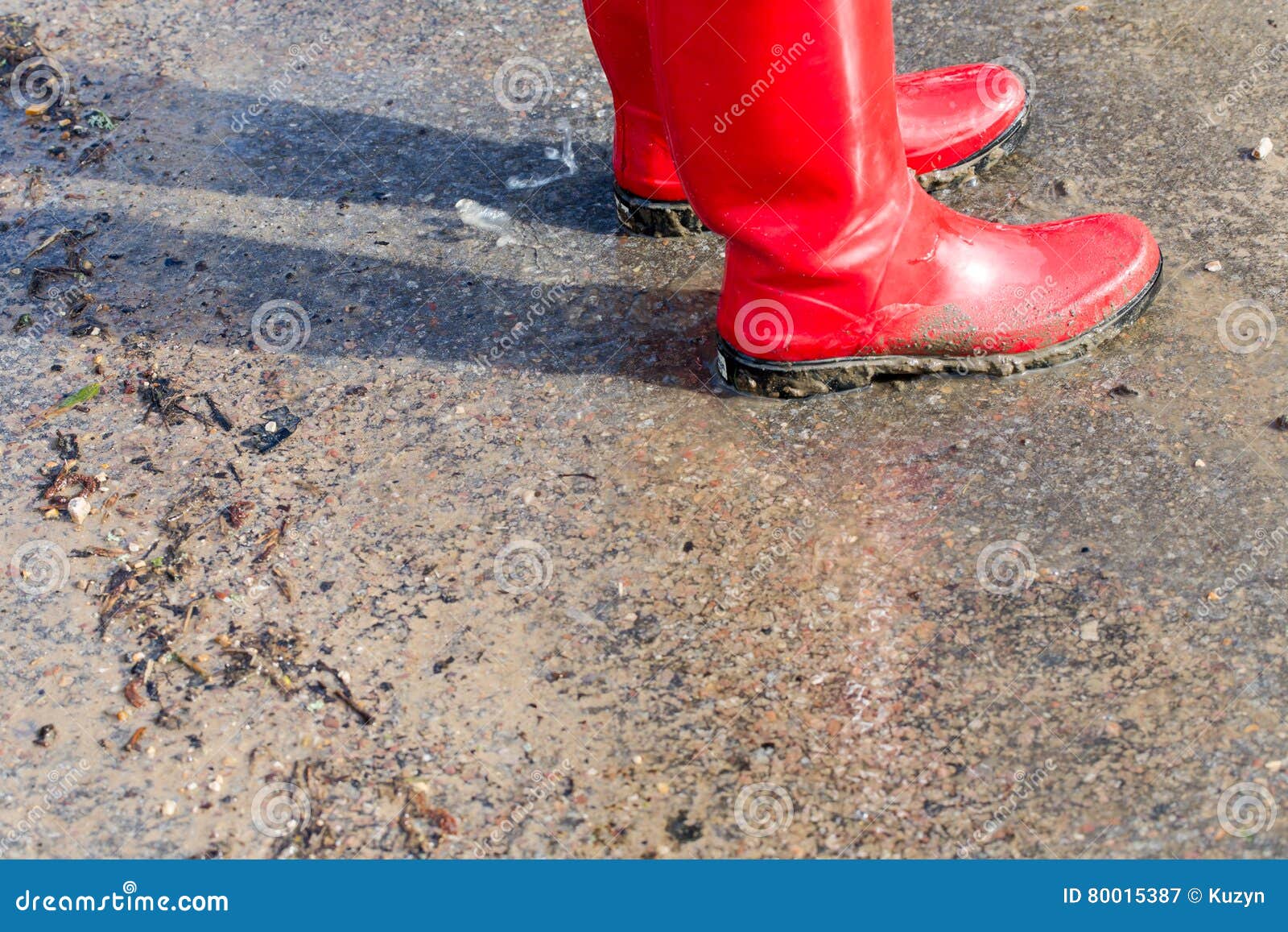 Walk in wellies stock image. Image of delicate, natural - 80015387