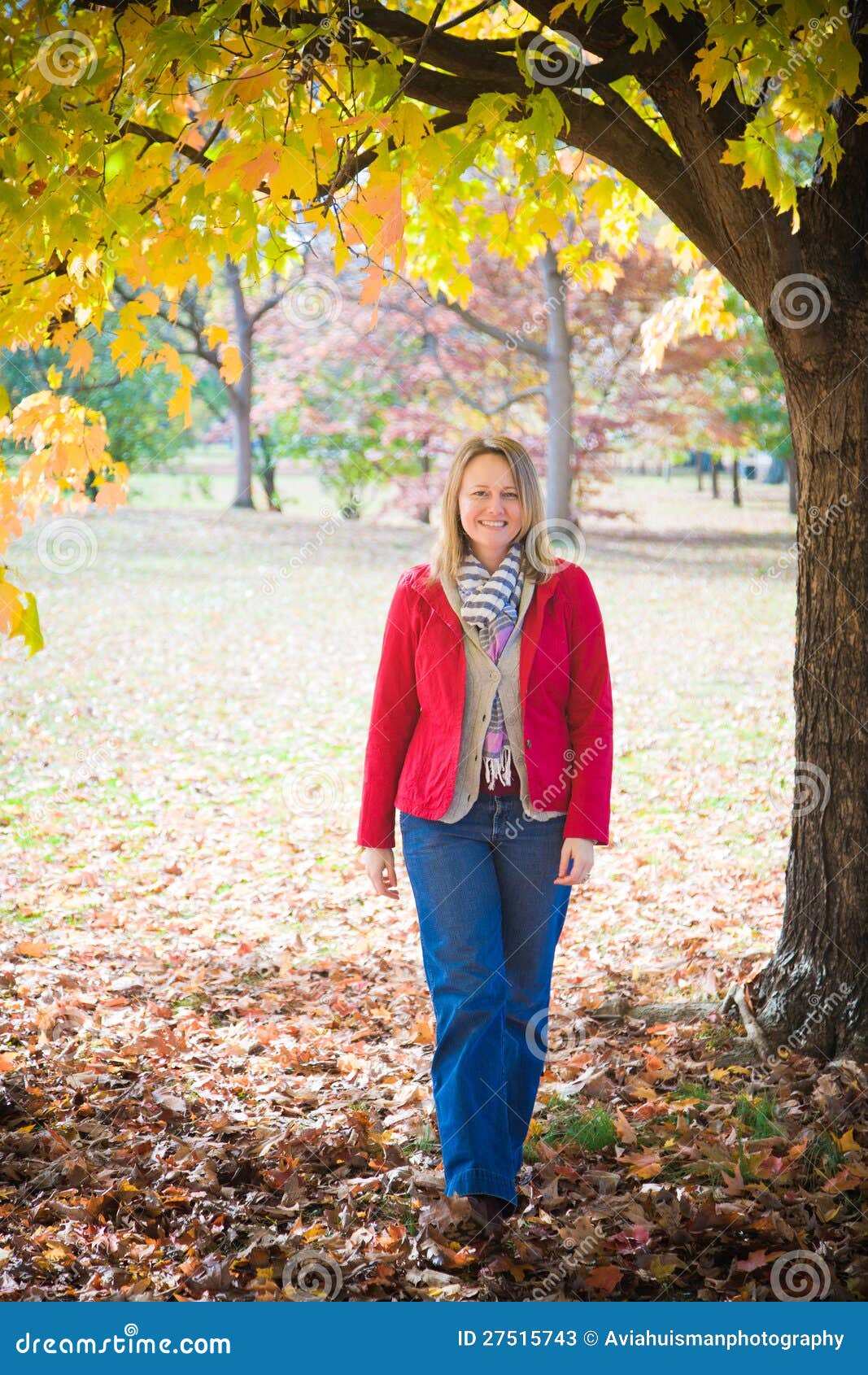 A Walk in the Woods stock image. Image of color, healthy - 27515743
