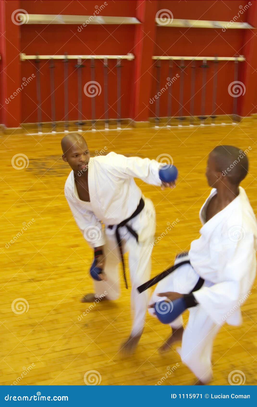 Walka karate. obraz stock. Obraz złożonej z sparingowy 1115971