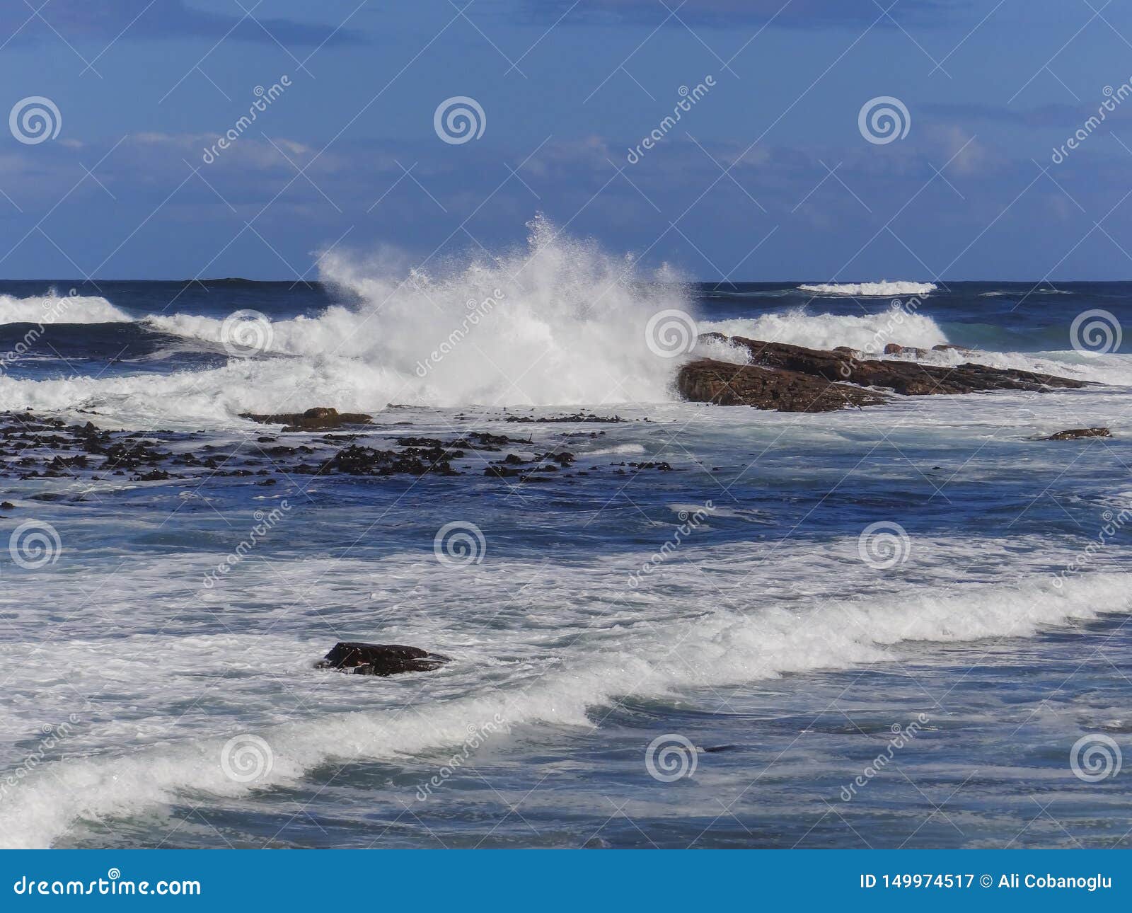 Walker Bay in Cape Town, South Africa Stock Image Image of south