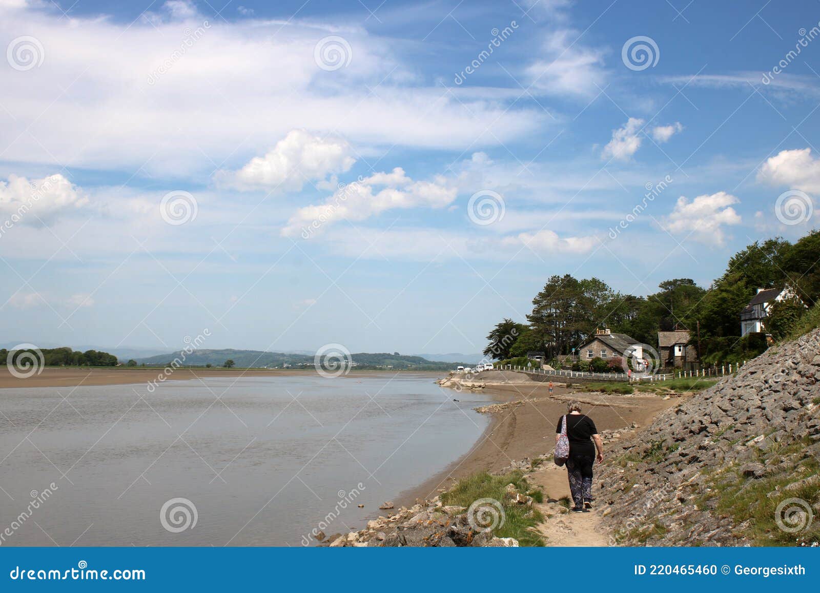 Walker on Path by River Kent at Sandside, Cumbria Stock Photo Image
