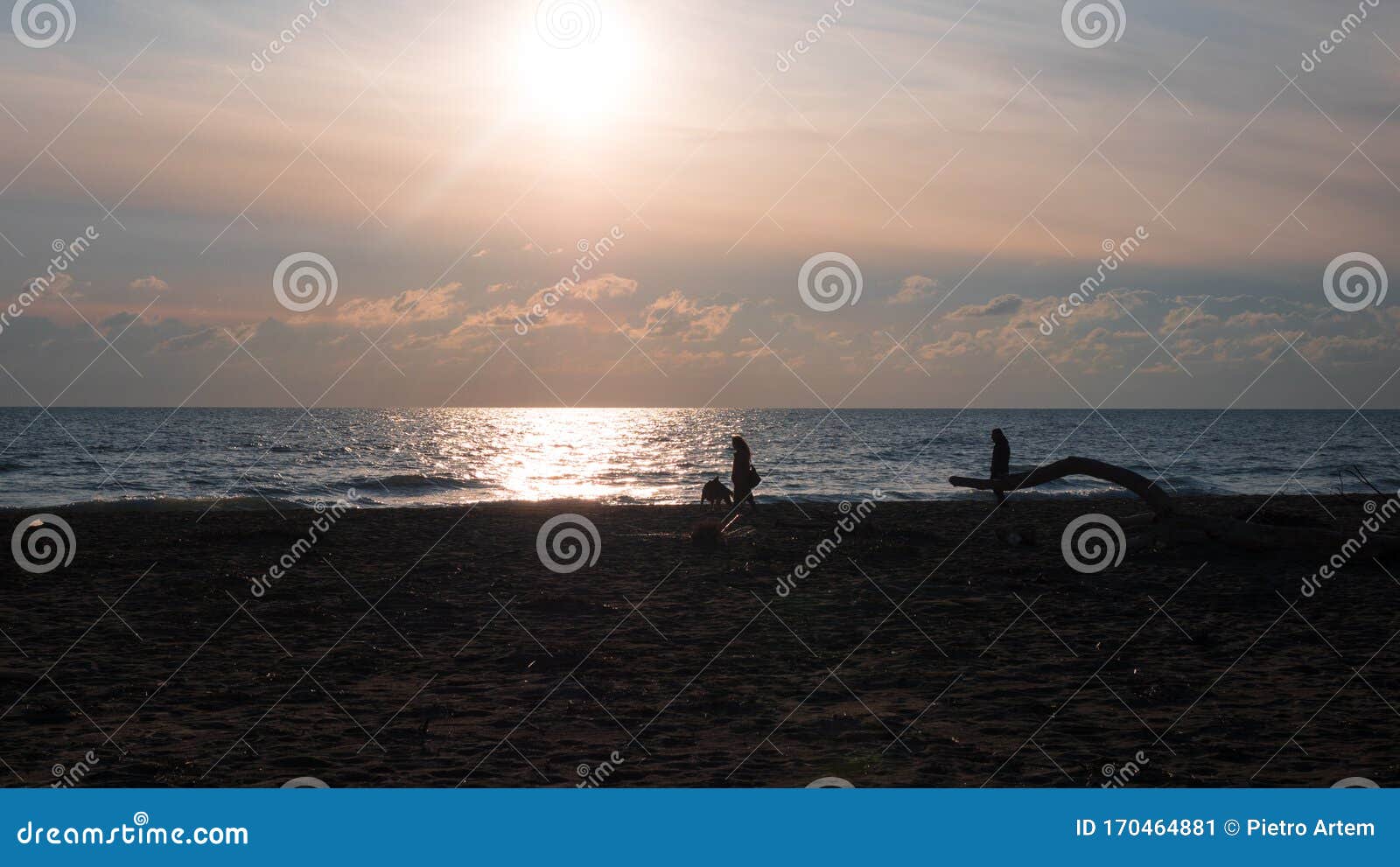 Walking Dogs on Beach at Sunset Stock Image - Image of love, ocean ...