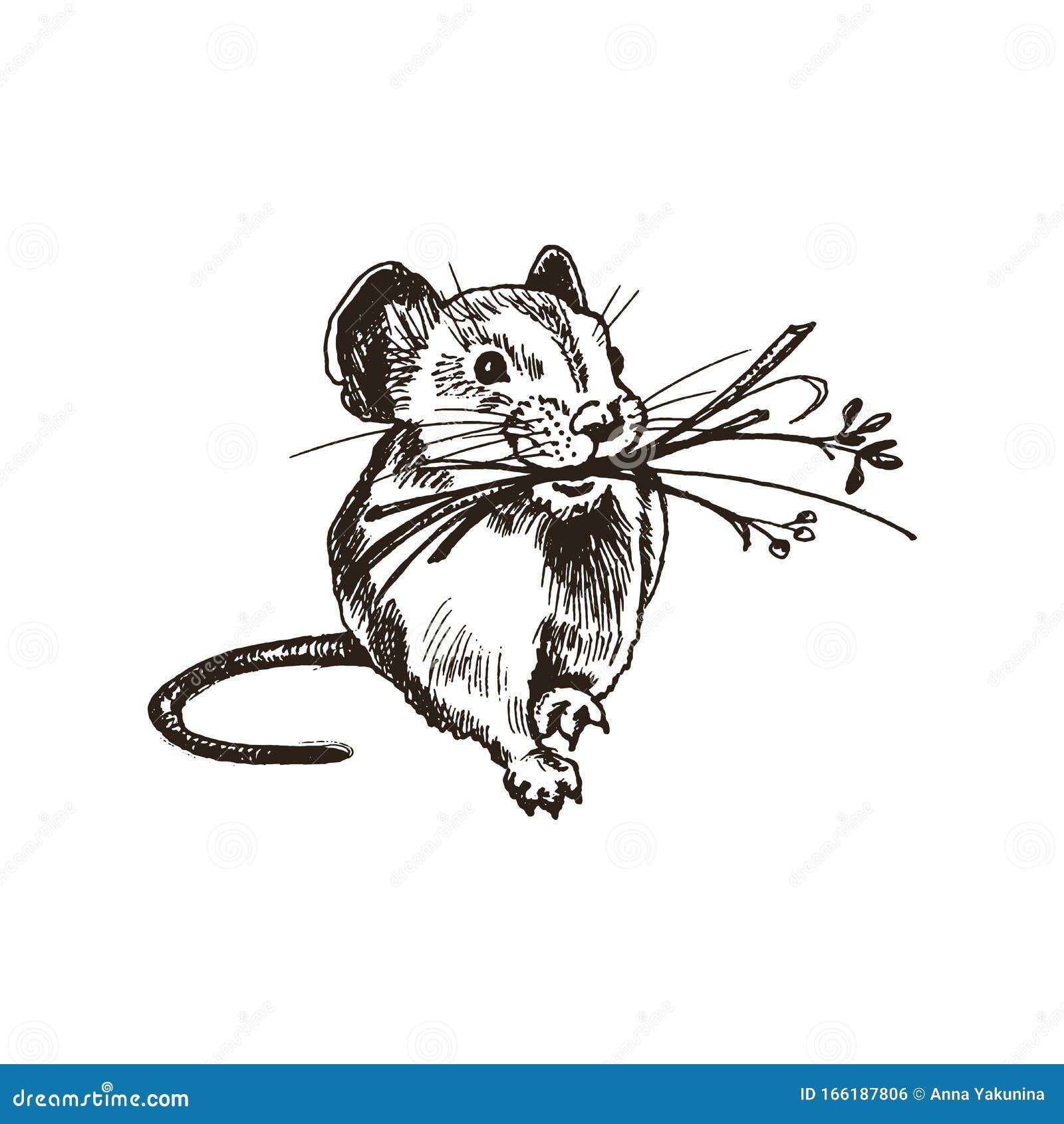 Sketch Illustration of a Little Field Mouse Rodent Stock Illustration   Adobe Stock