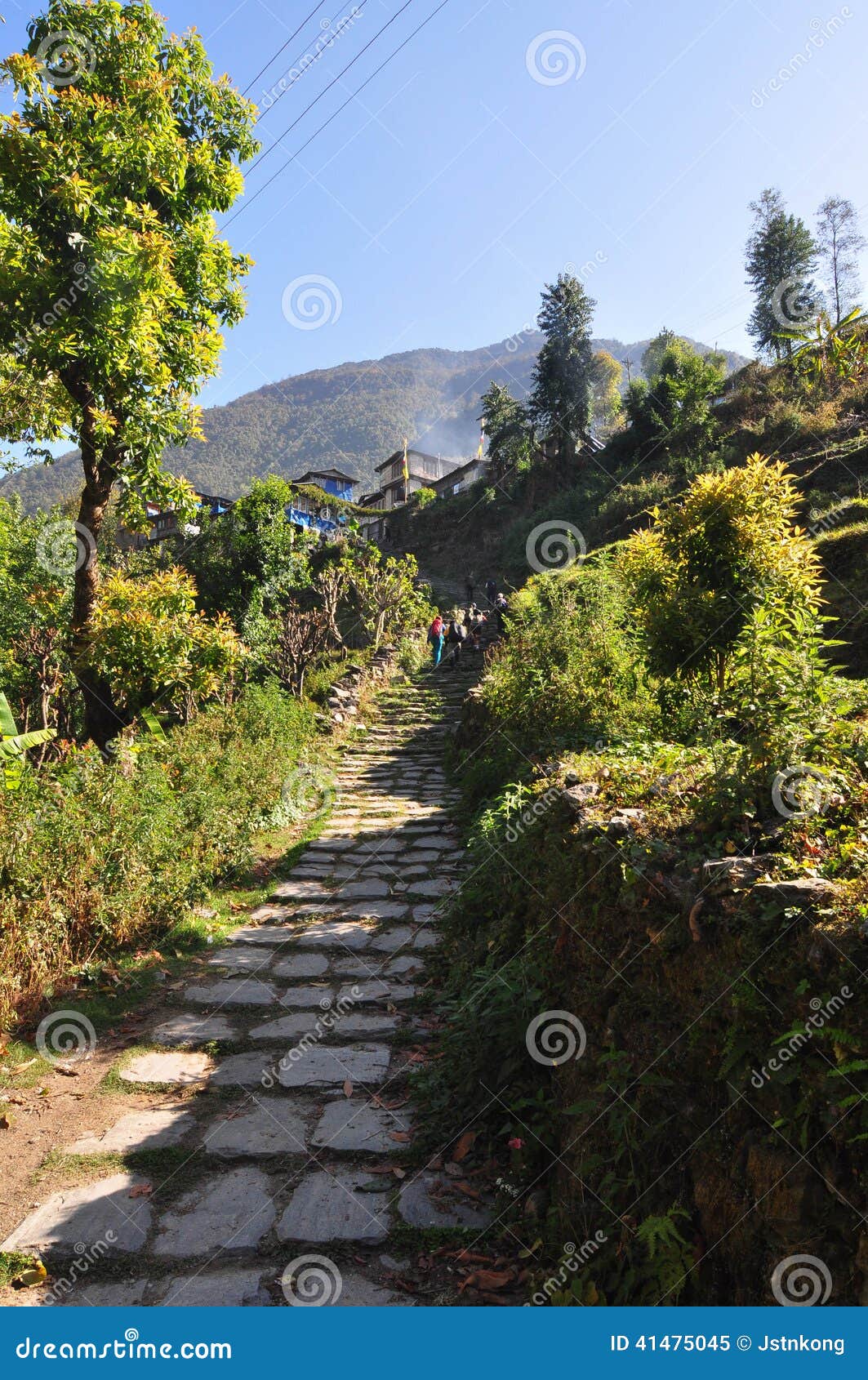 Walking in the green outskirts of the Annapurna track. Walking the great outdoors on walkways made out of shale rocks laid in beautiful arrangement under the clear blue sky on a sunny day. Lush green forest surround hikers as they walk through villages