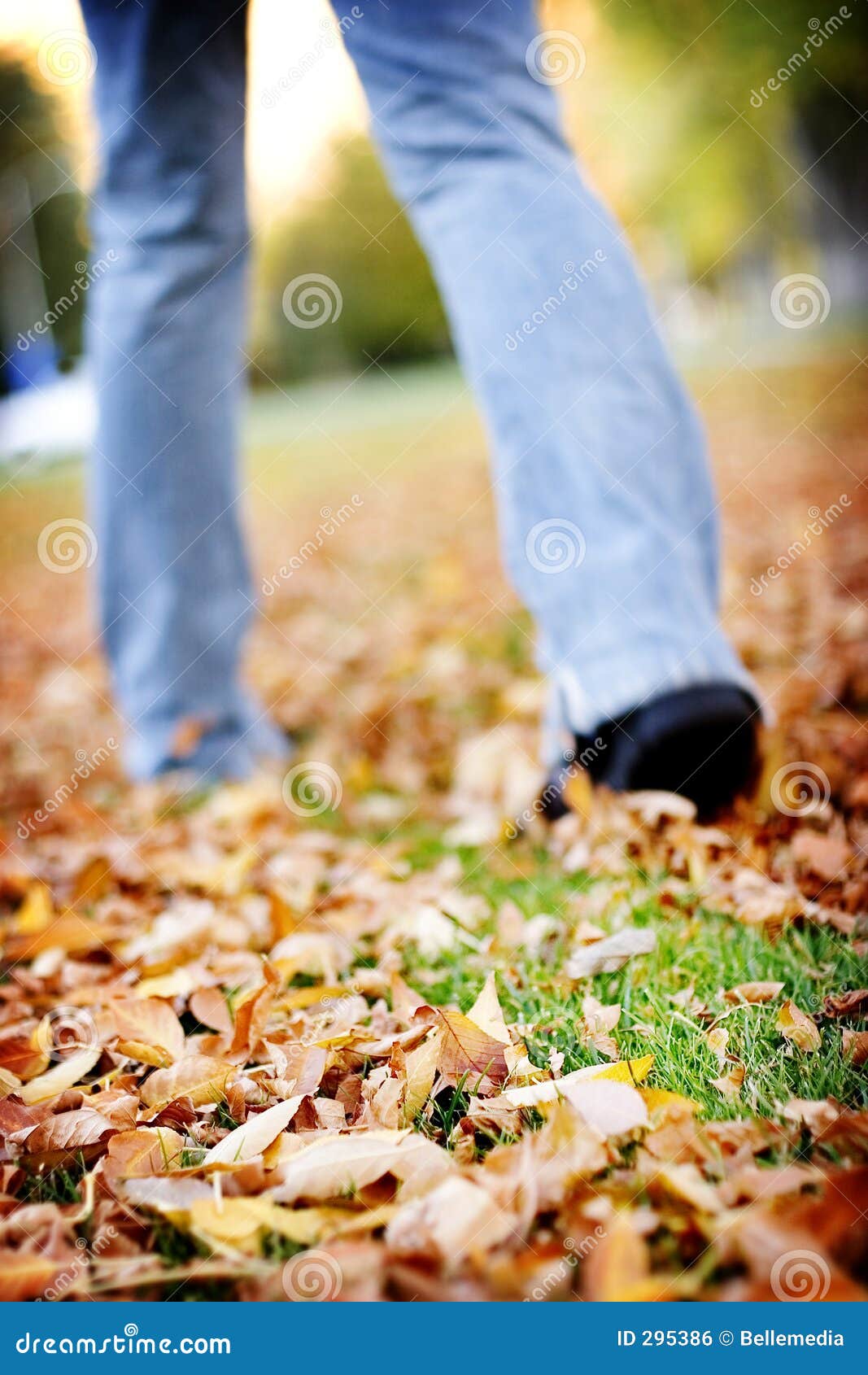 Walking in leaves stock photo. Image of energy, full, length 295386