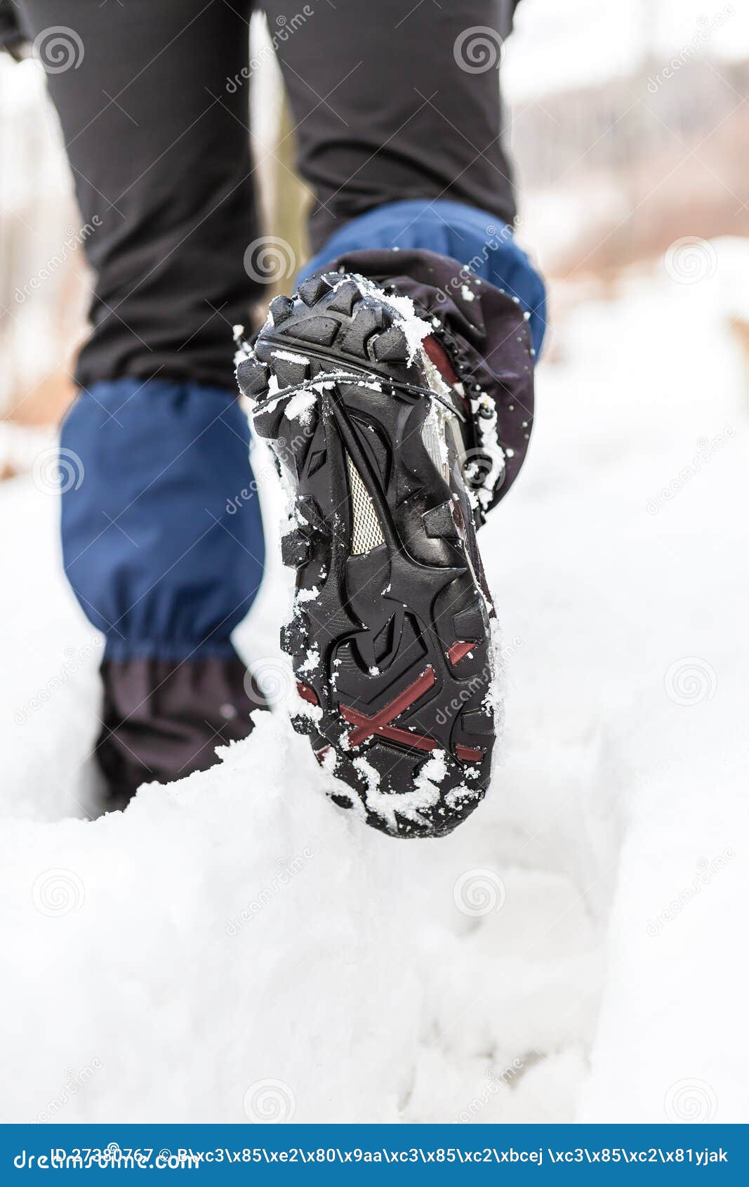 snow trail shoes