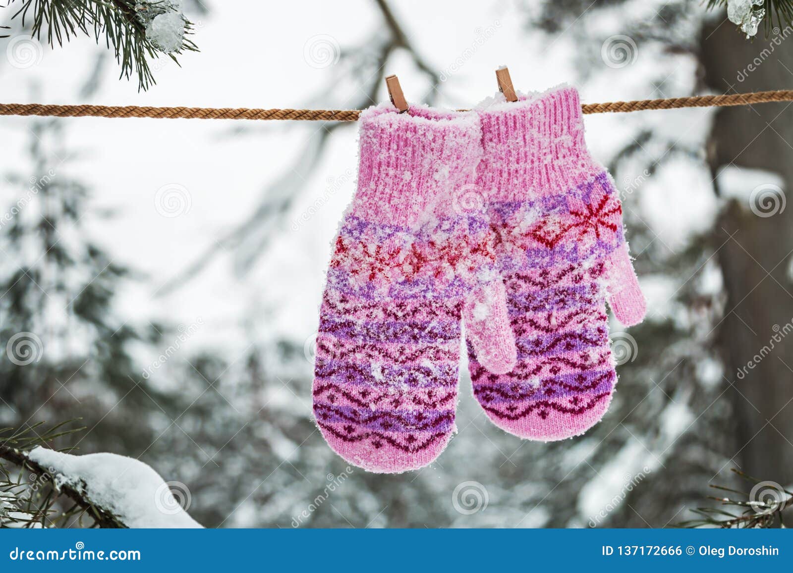 Walking with Mittens with Christmas Pattern Hanging Stock Photo Image