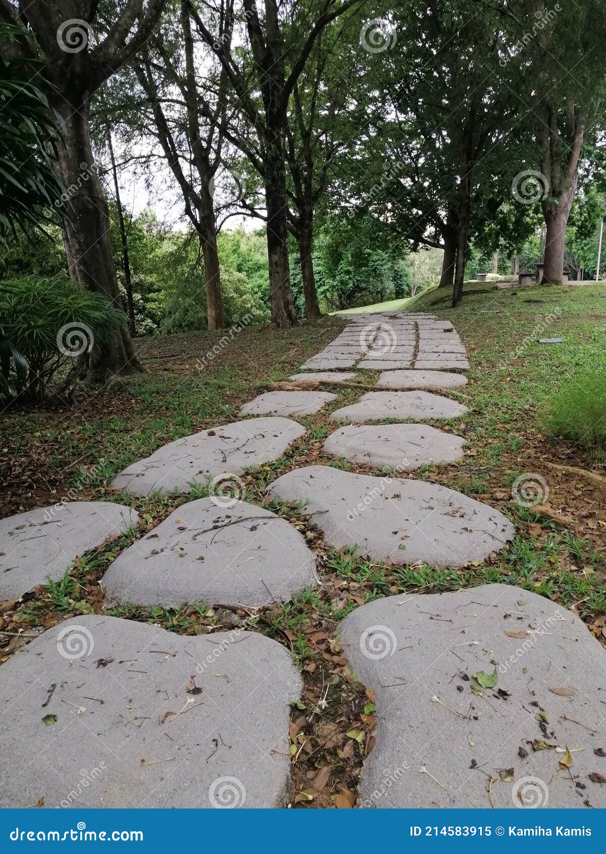 walking path  at taman wawasan putrajaya, the  popular recreational park in putrajaya
