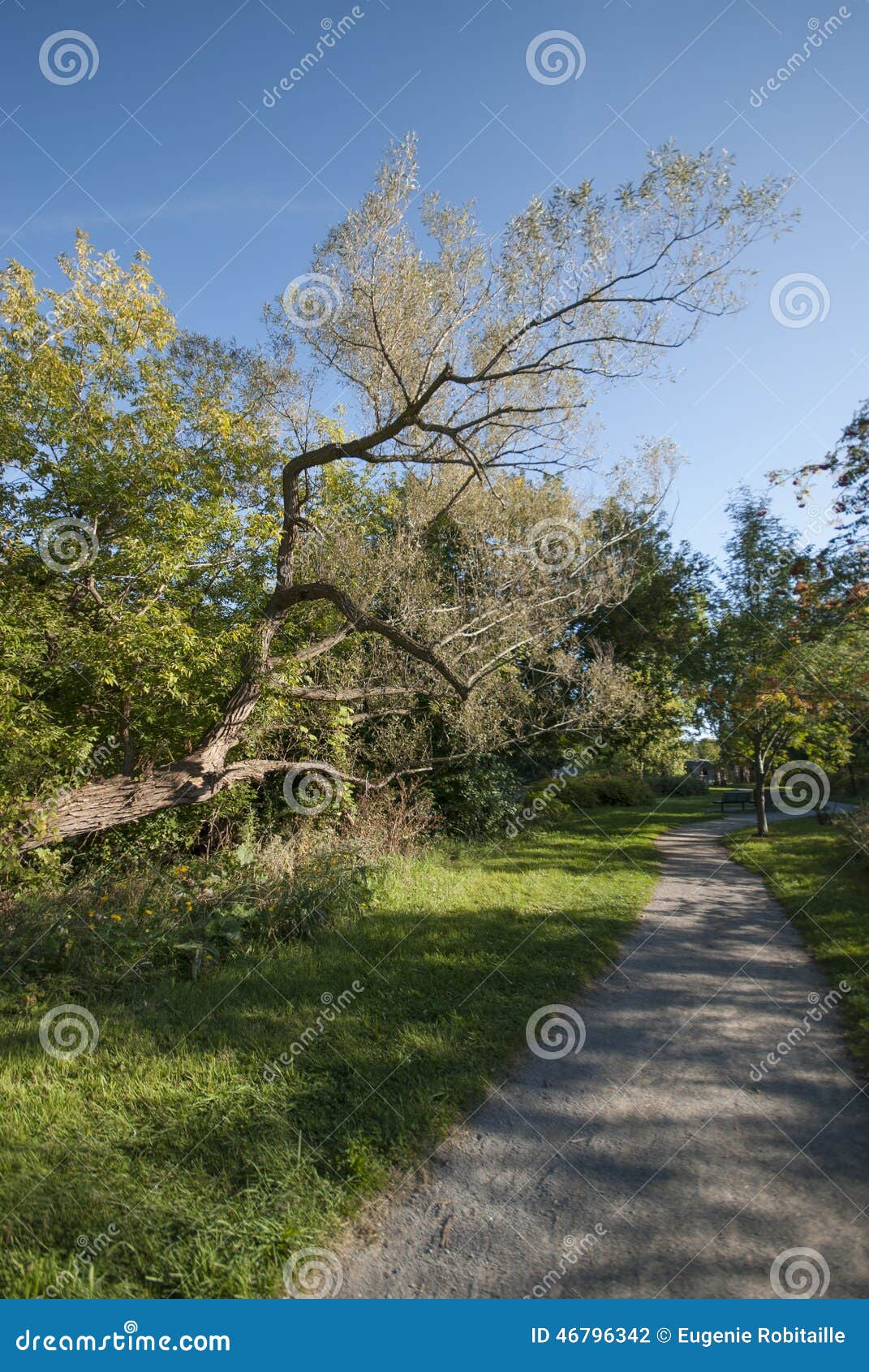 Walking path in a garden. Parc-nature de l Ile-de-la-Visitation