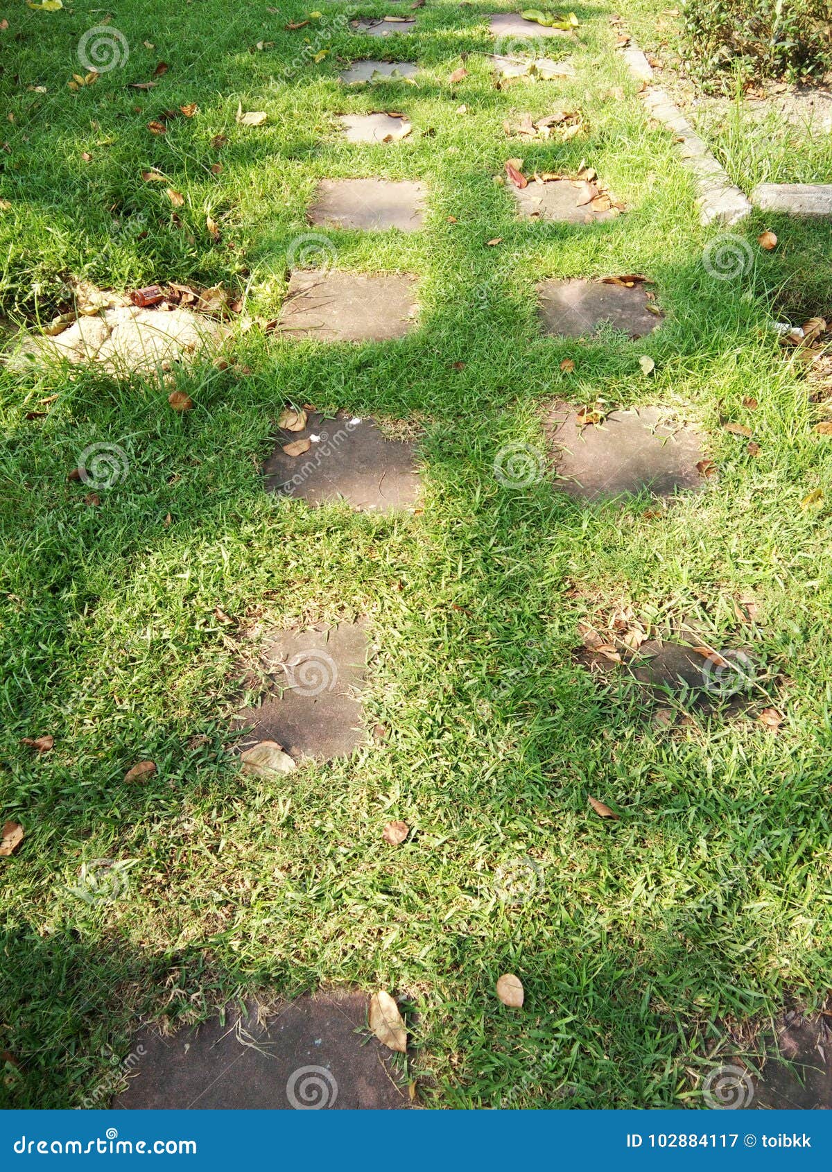 Walking path on grass stock image. Image of green, brown 102884117