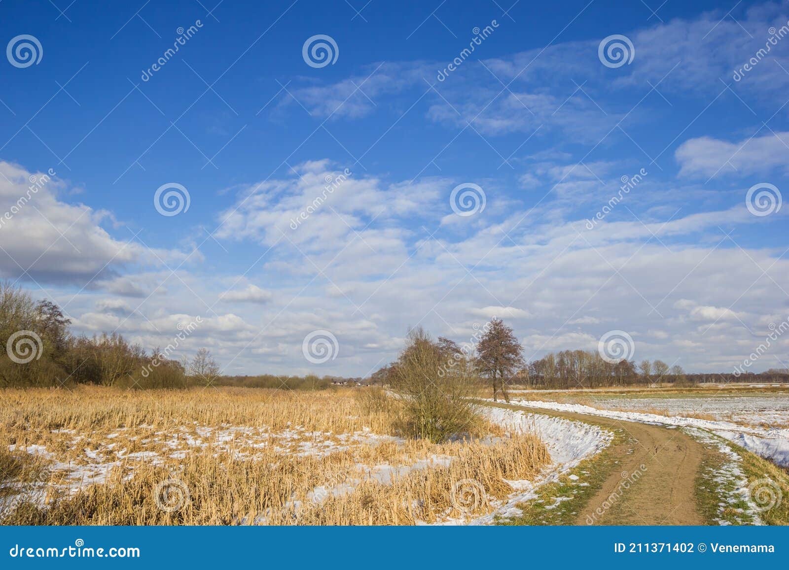 walking path in nature area friesche veen