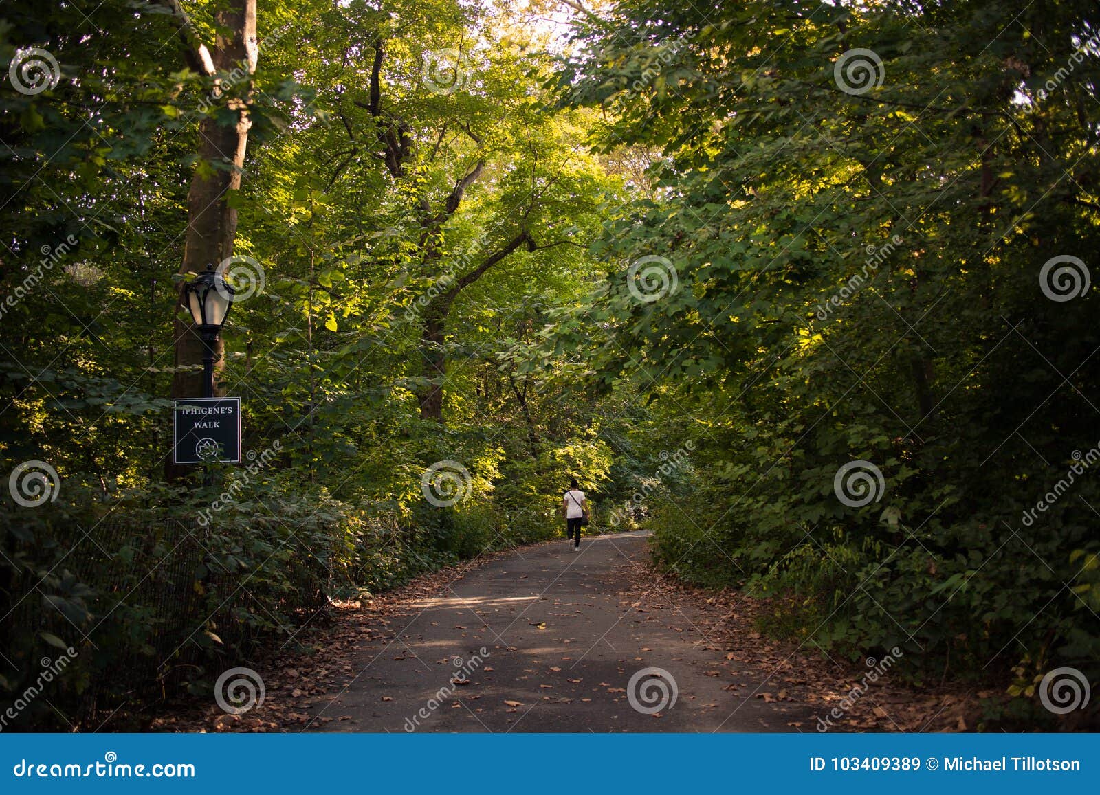 A Stroll Through Central Park in NYC