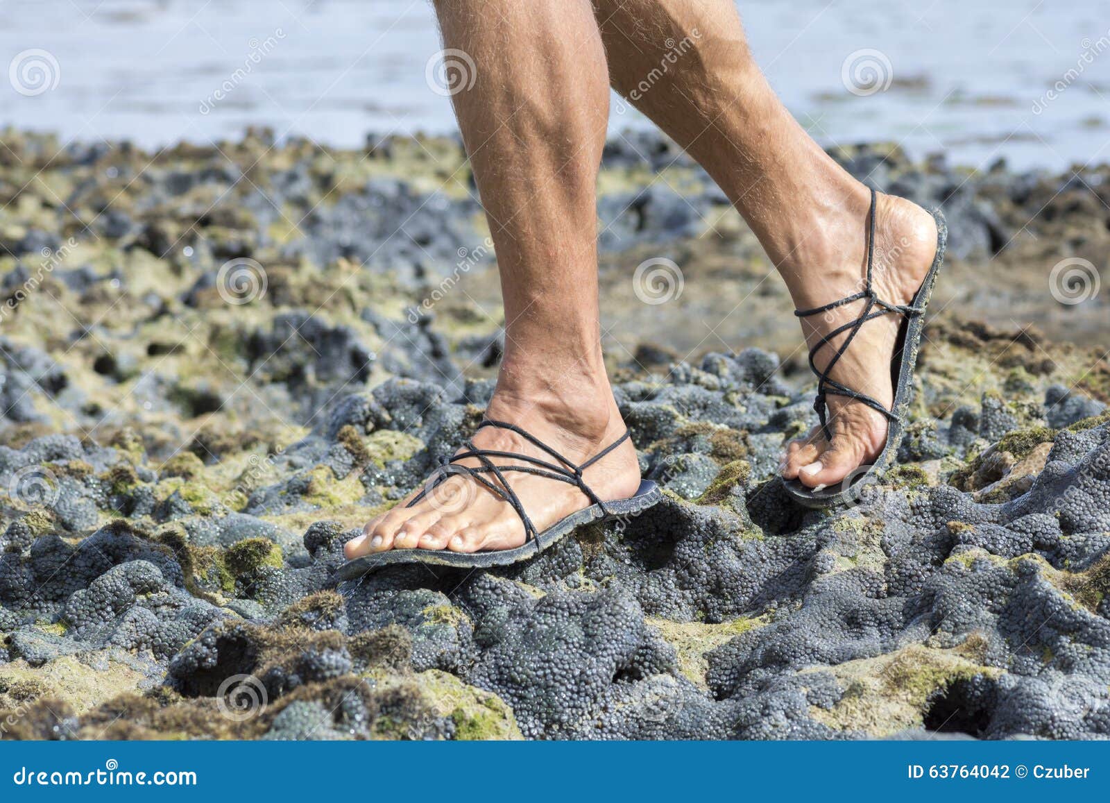 reef walking sandals