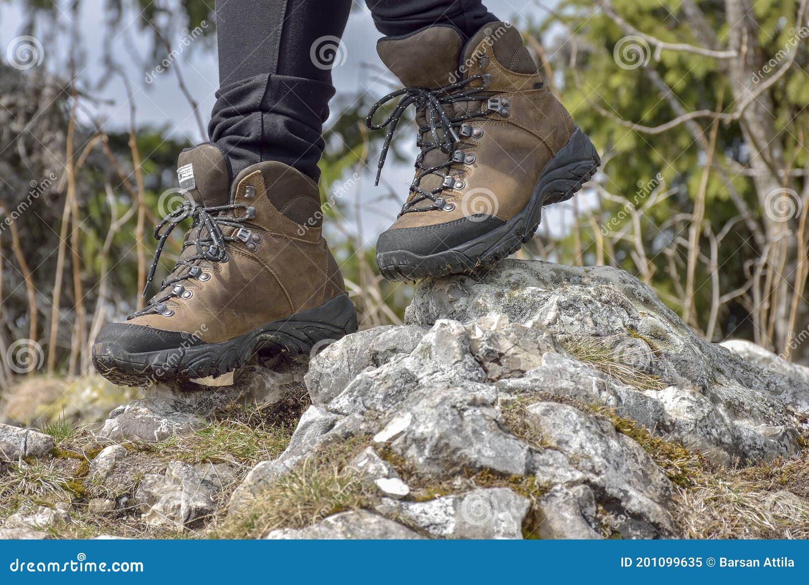 Walking Shoes. All Terrain Shoes Stock Image Image of alps
