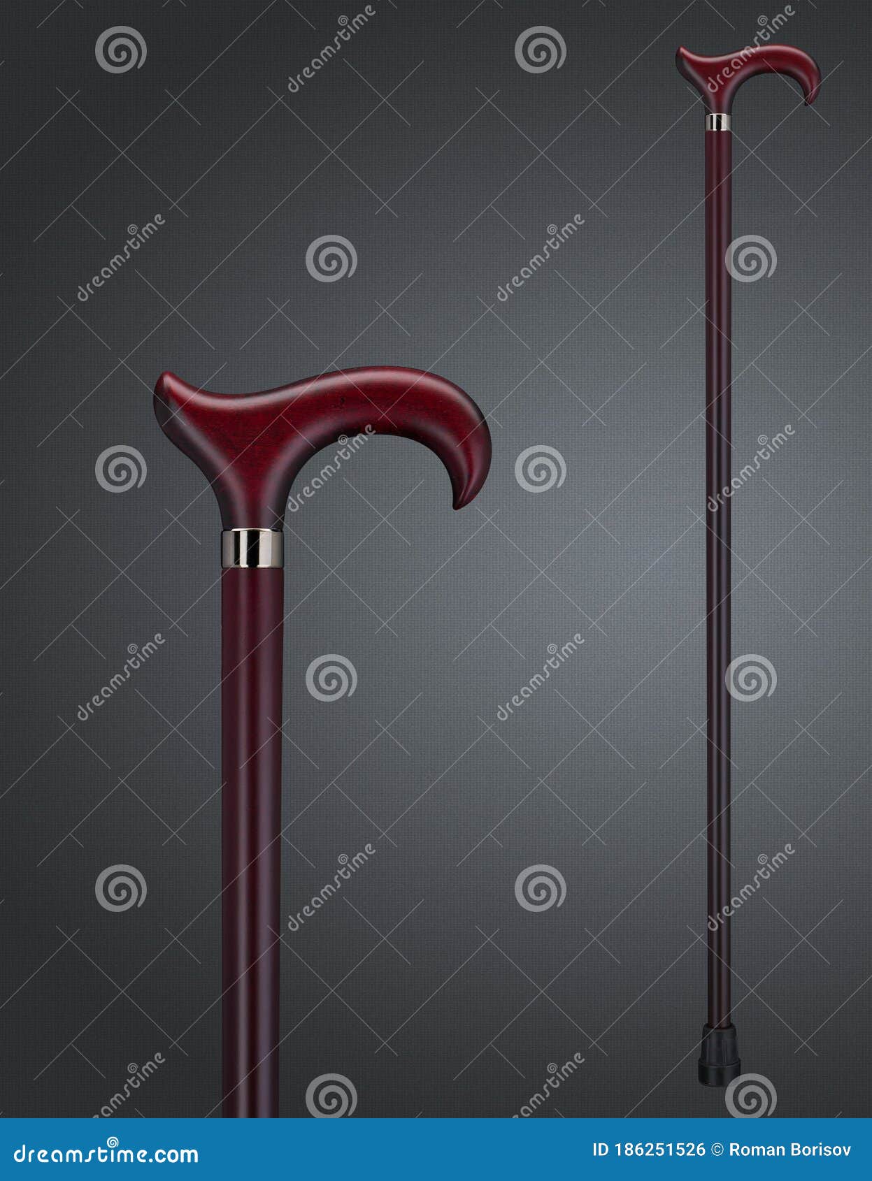 Walking Sticks and Crutches. High Quality Photo. Stock Photo Image of