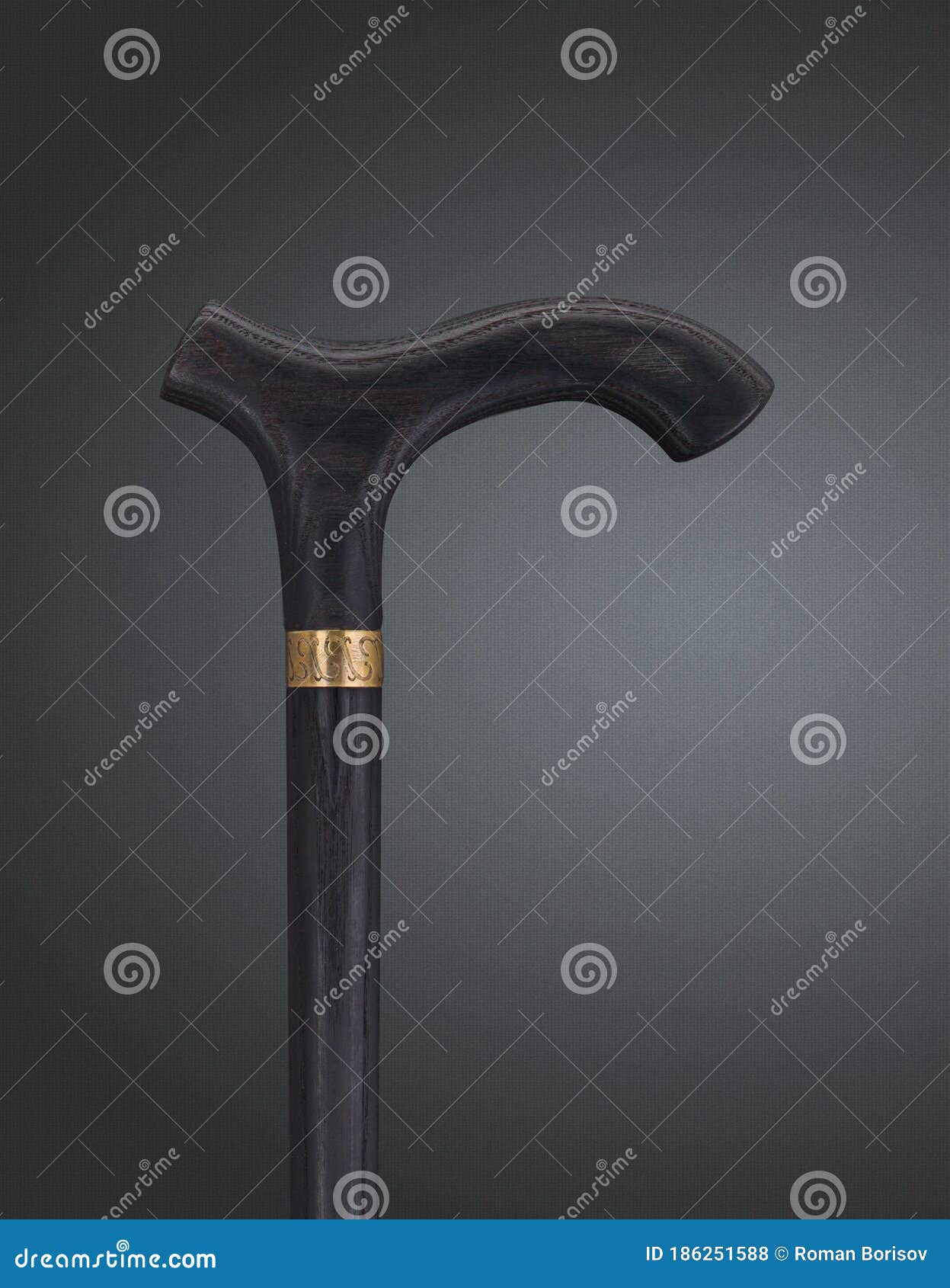 Walking Sticks and Crutches. High Quality Photo Stock Photo Image of