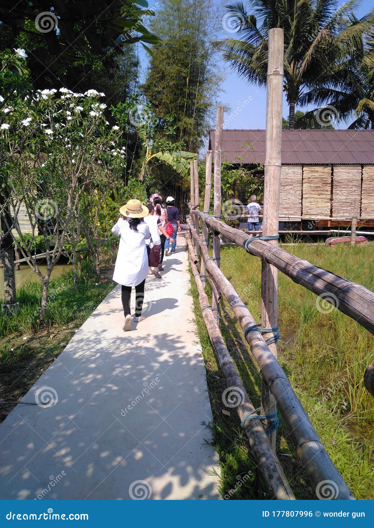 Walking To the Coffee World Stock Photo Image of coffee, familytrip