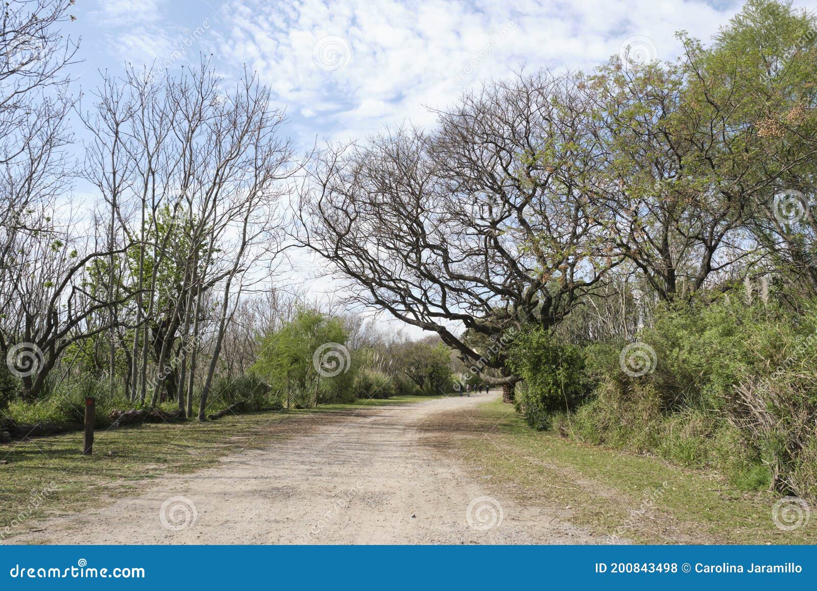 walking trail in the costanera sur ecological reserve, buenos aires, argentina