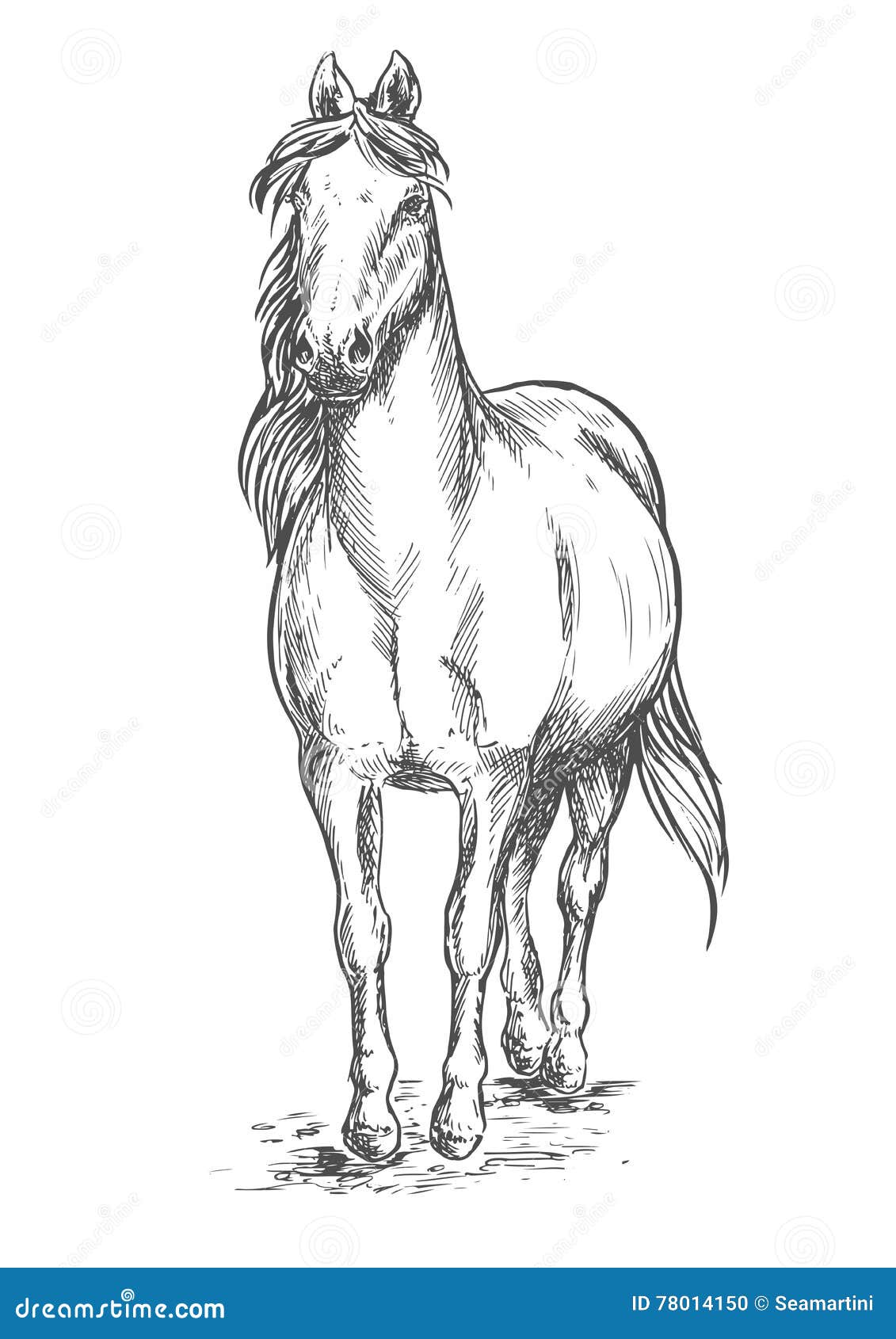 Color vector image of a white horse Color vector image of a white horse   CanStock